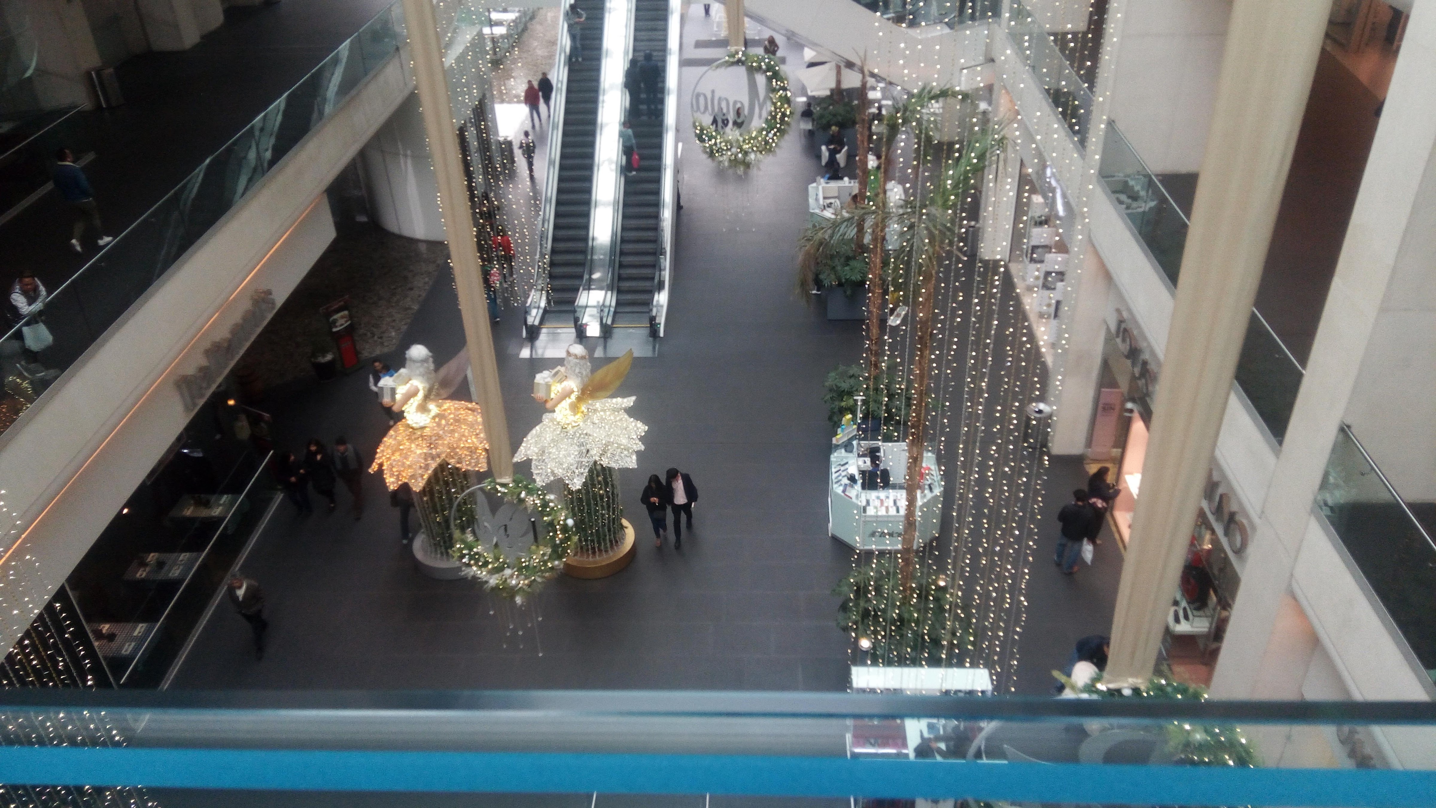 Micheloyas VIP image 6