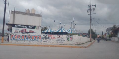 Vikis Pizzas image 3