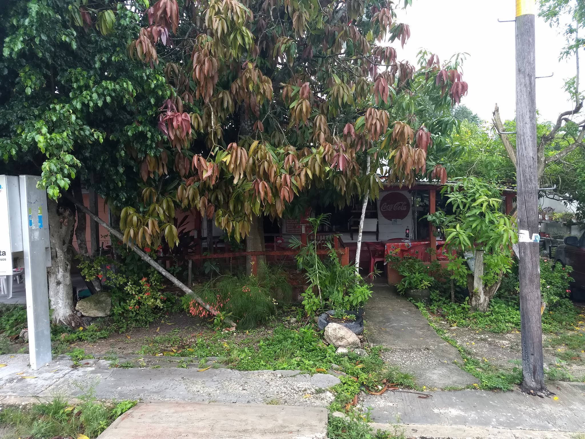 Antojitos Doña Toñita image 2