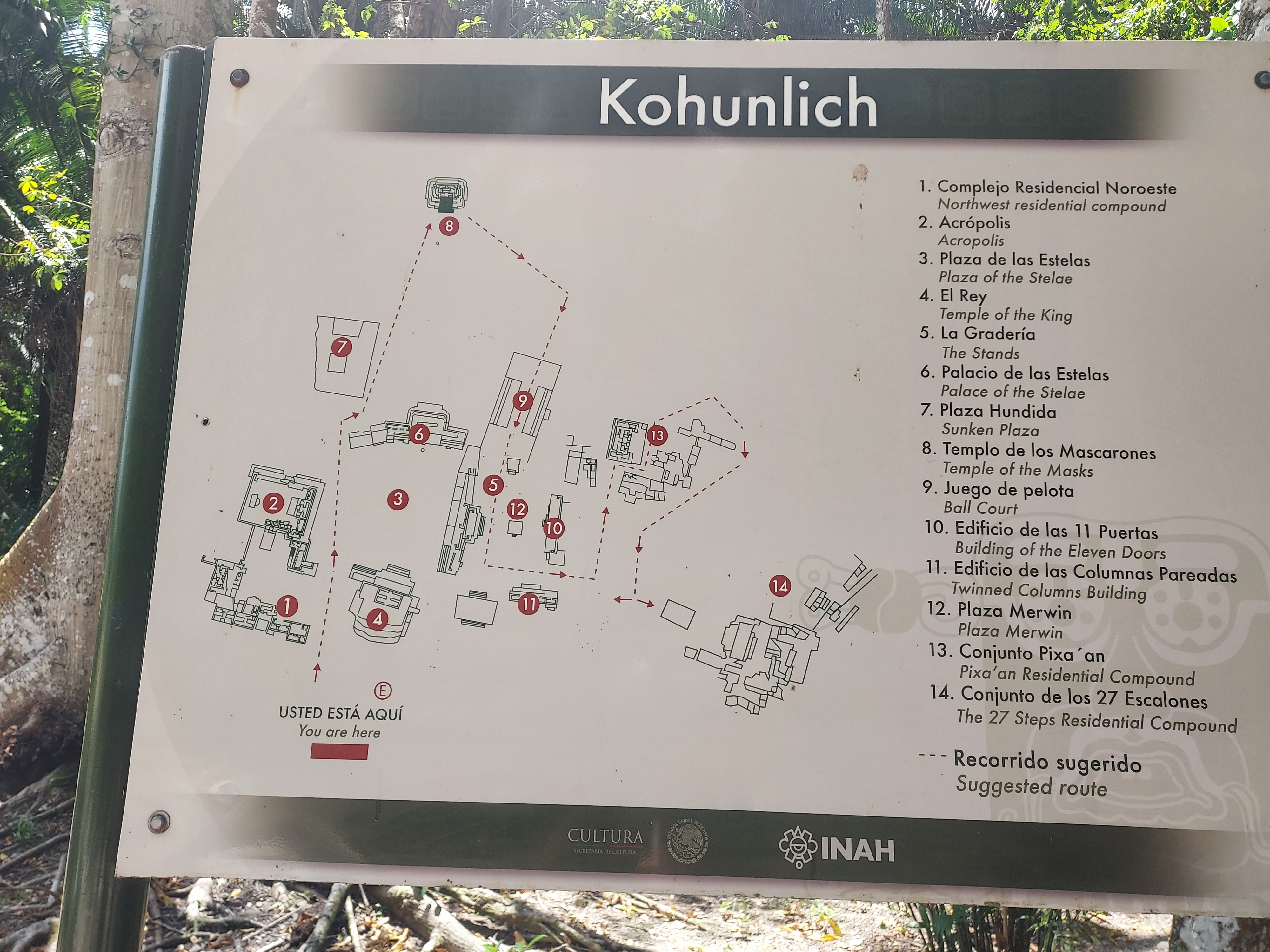 Asadero El Super Pollo image 10