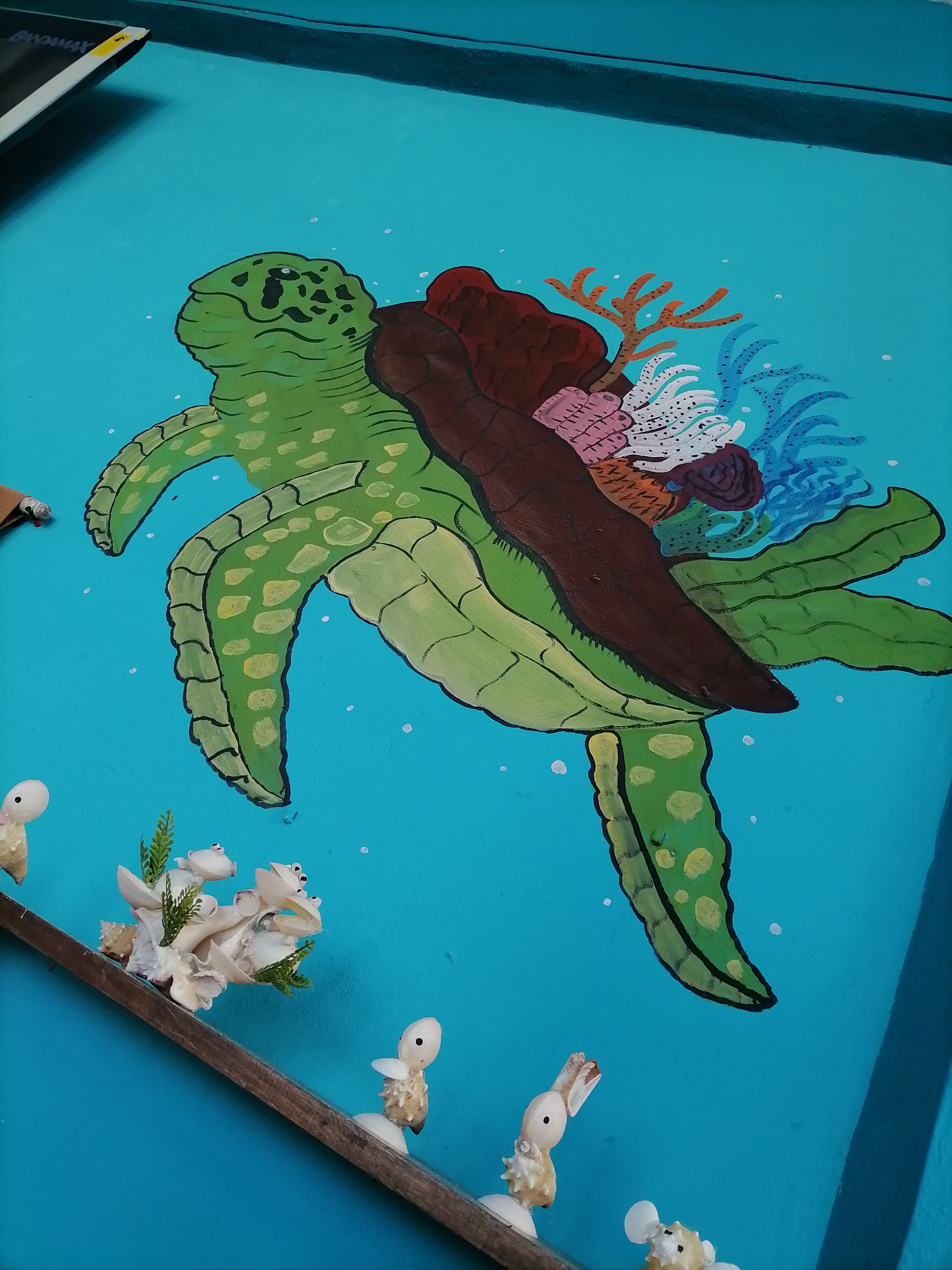 Marisquería el Coral 🪸 image 6