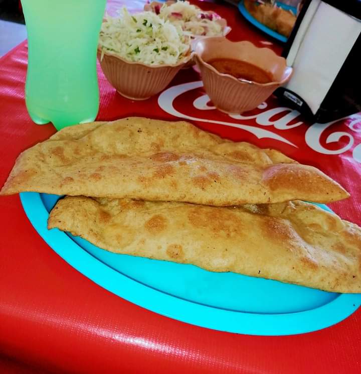 Loncheria conchi image 2