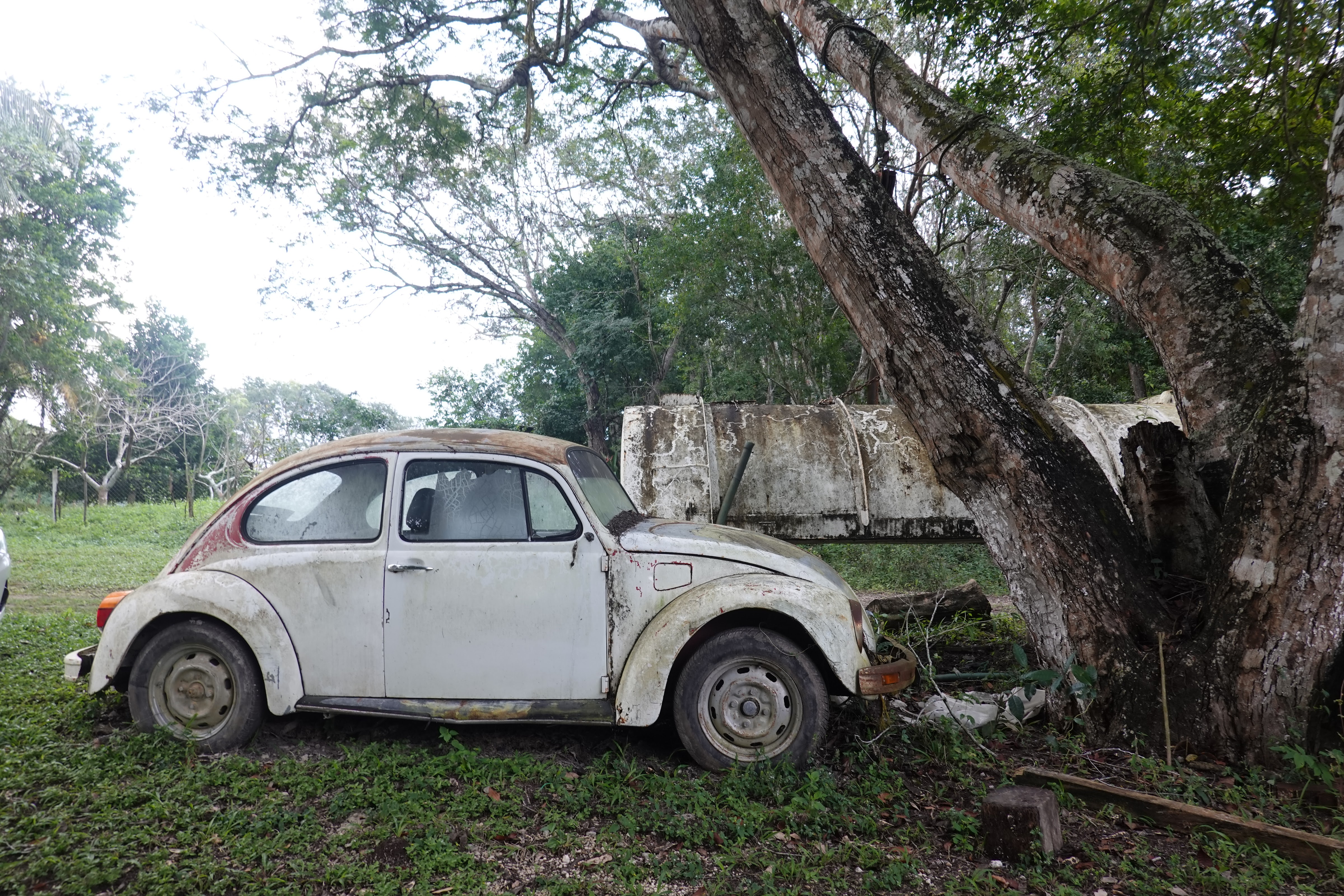 TEMPLO MAYA Restaurante y Hotel image 8
