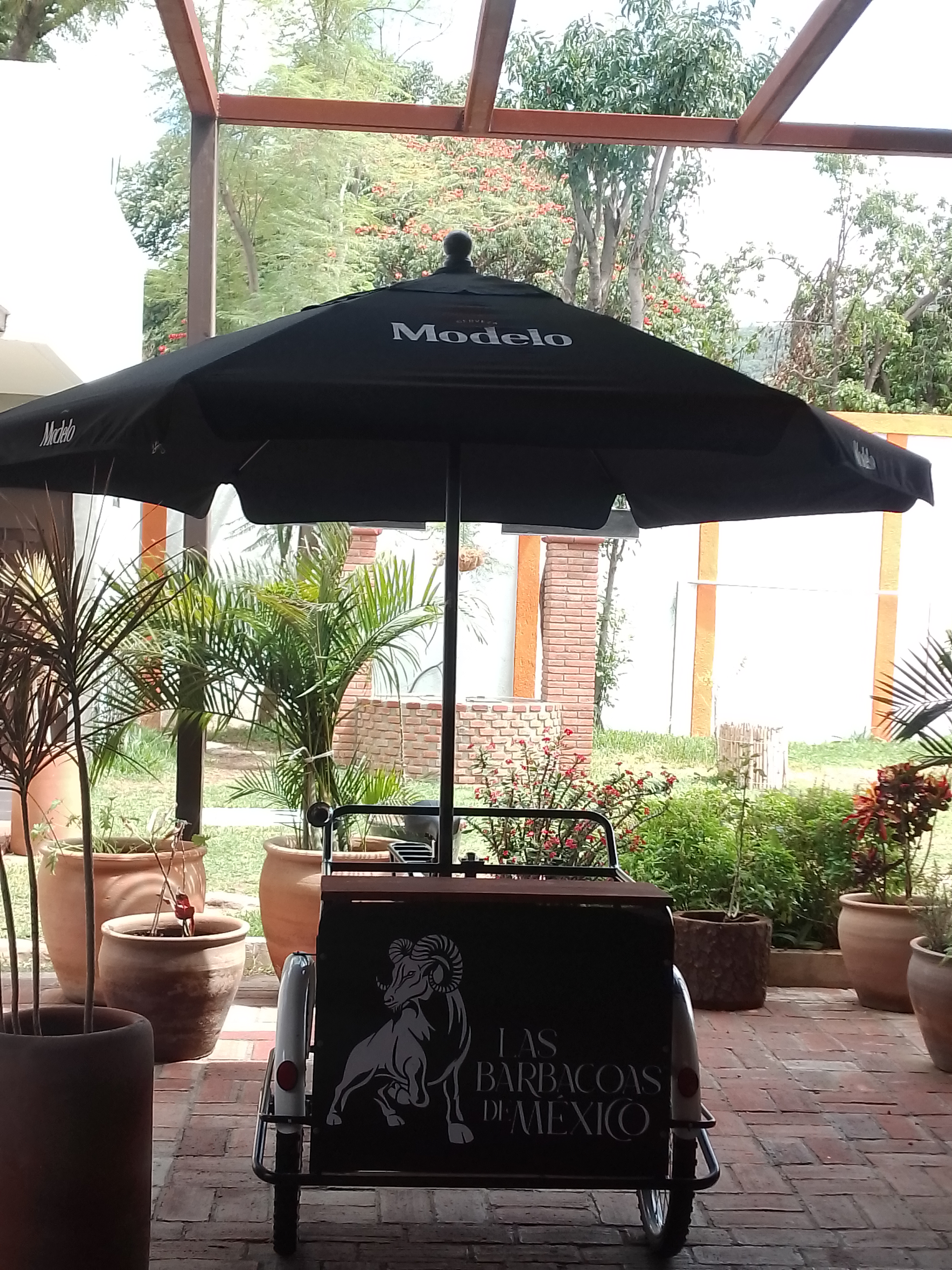 Las Barbacoas de México image 1