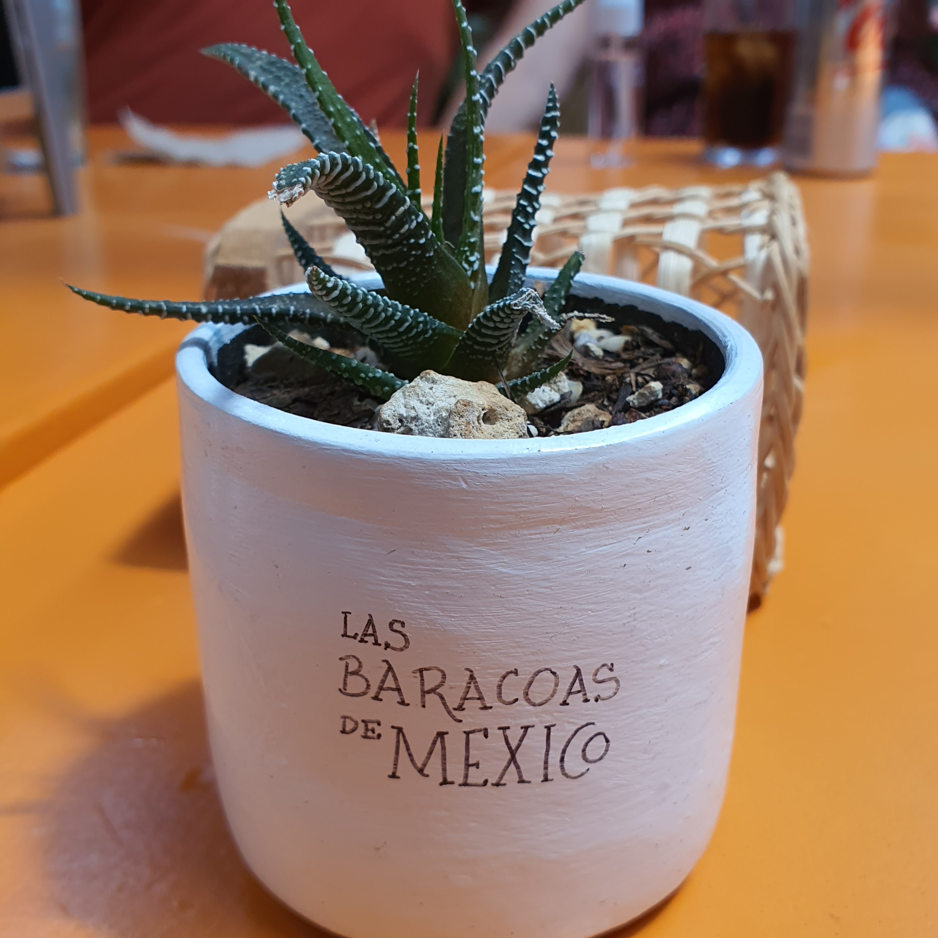 Las Barbacoas de México image 5