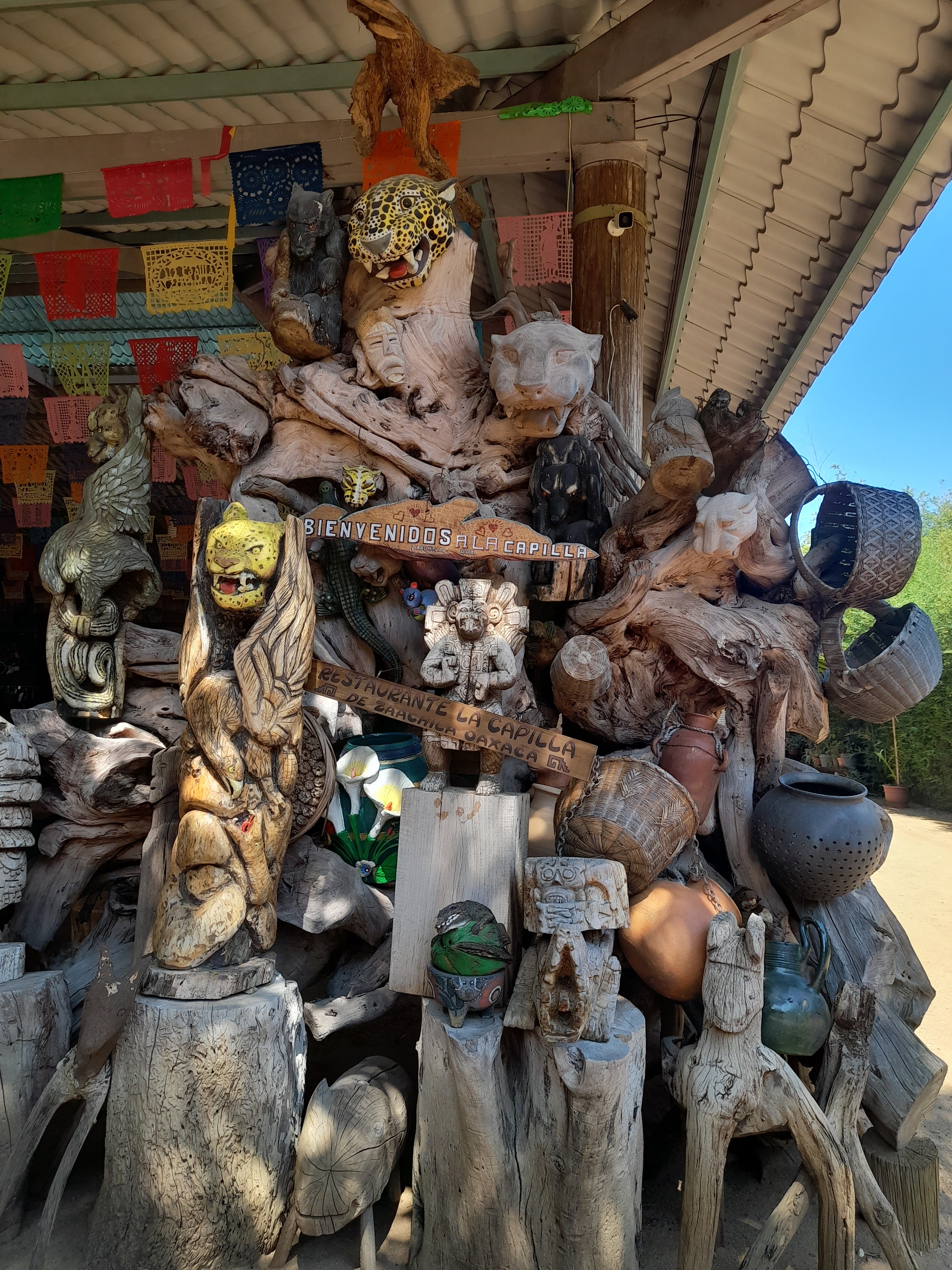 Vargas López Ciro image 6