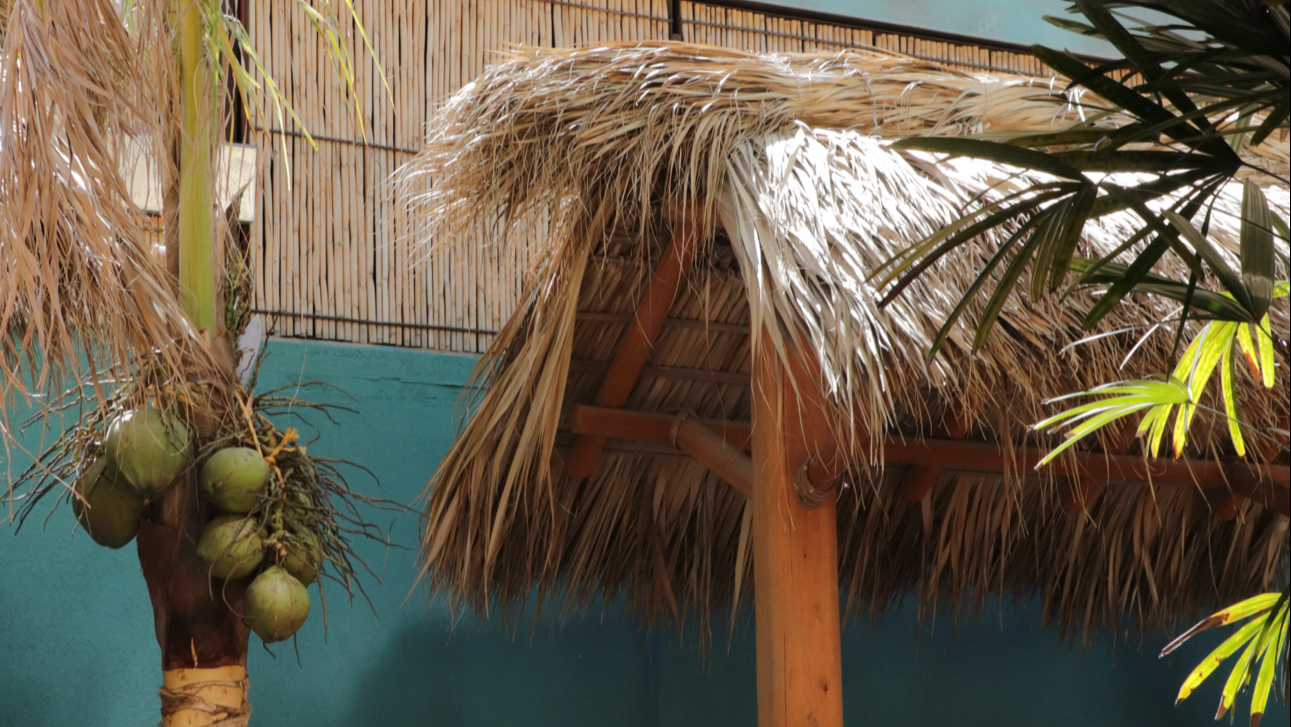 Oaxacalifornia image 4