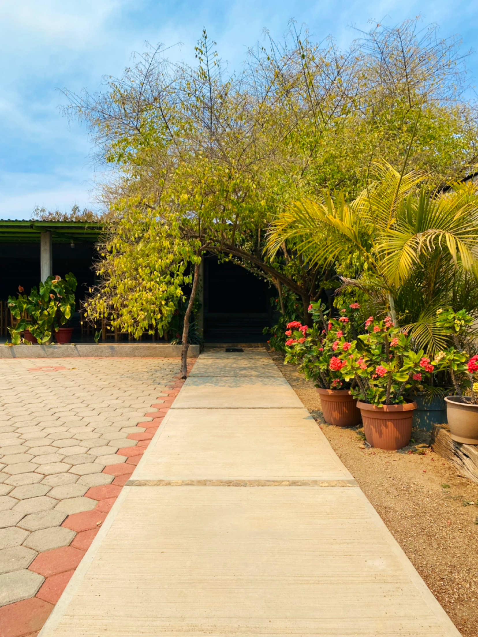 Restaurante El Jardín image 5