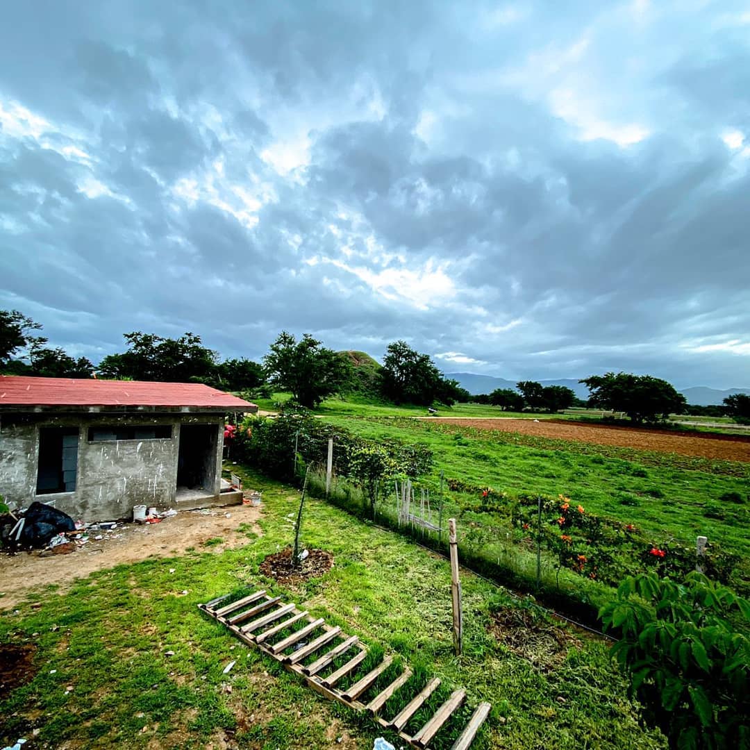 Alsira Restaurante image 8