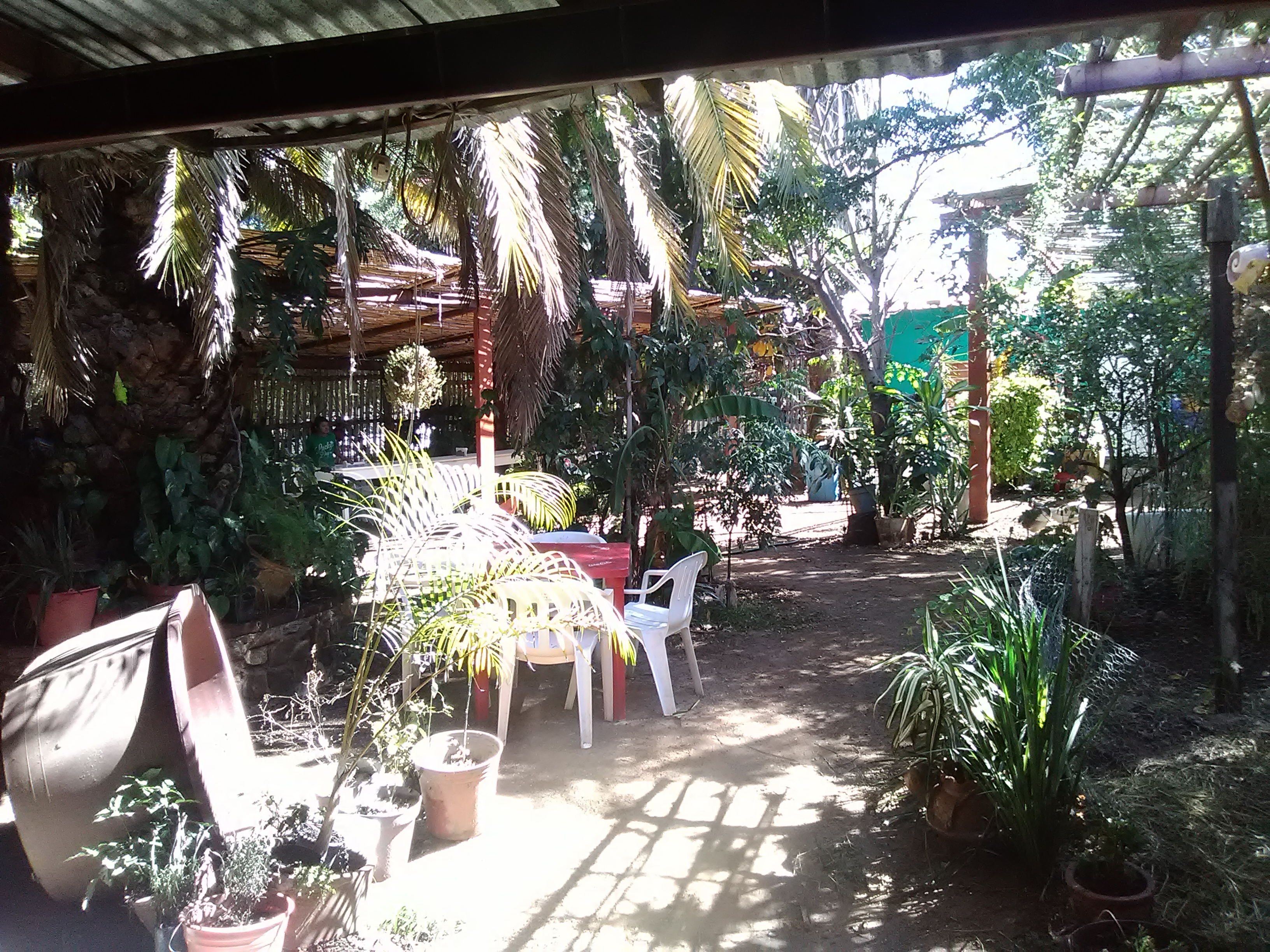 RESTAURANTE FLOR DEL PARAISO image 1