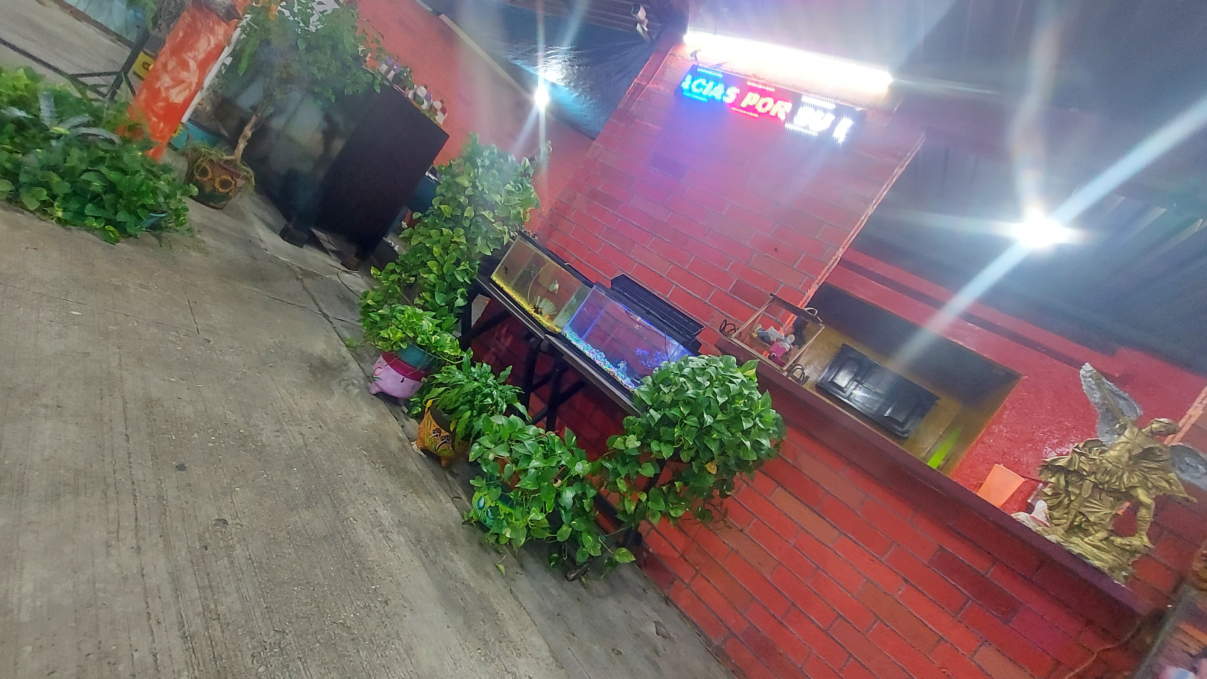 Restaurante Doña Reyna image 10