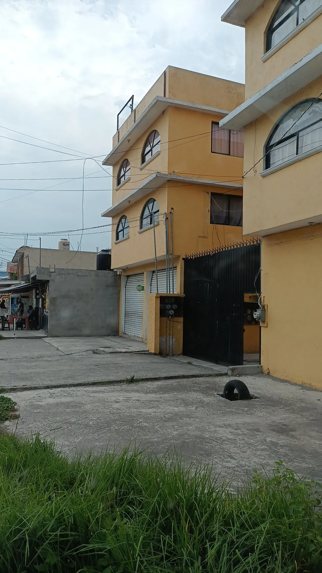 Los Girasoles image 7