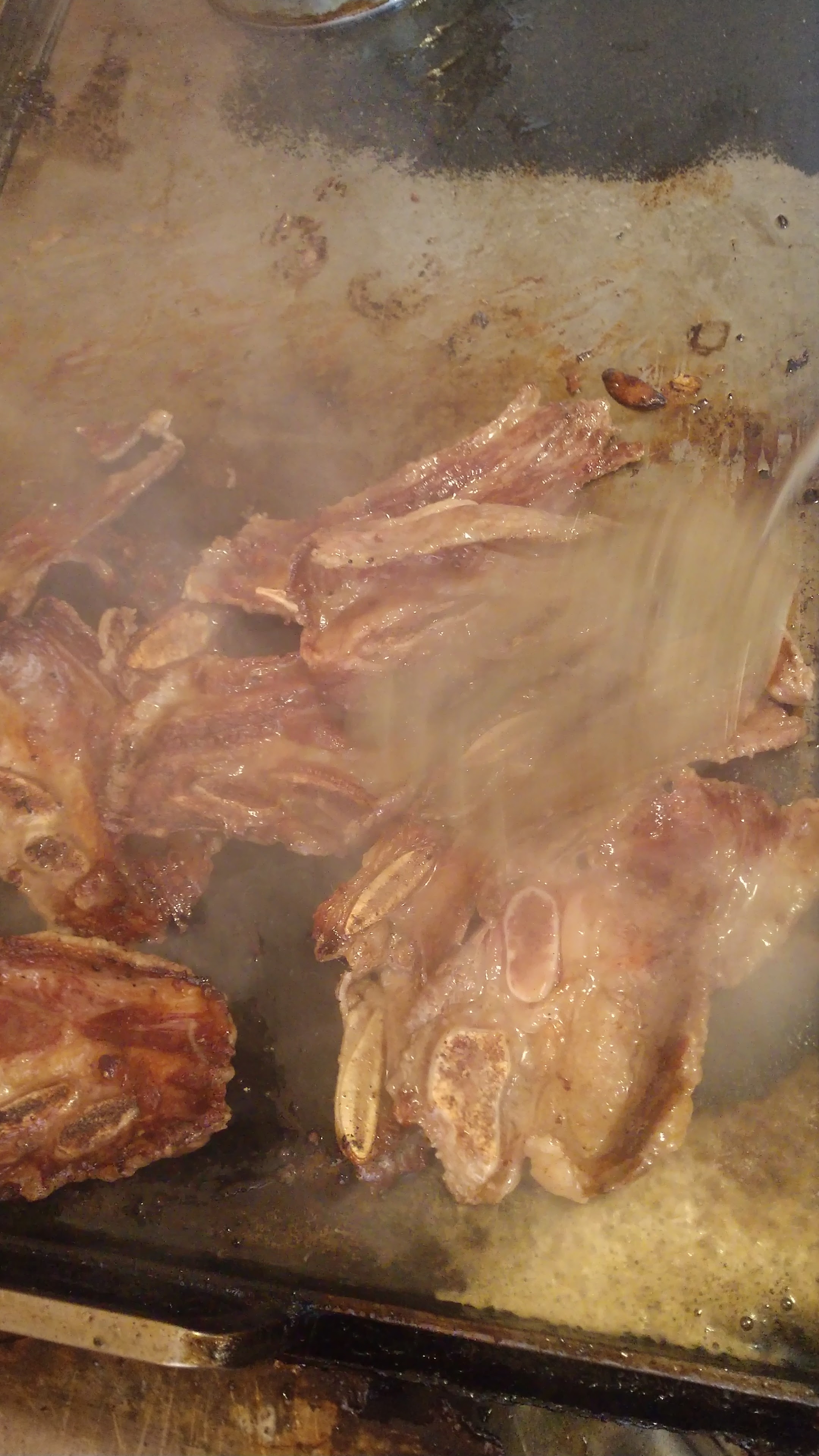 Los Girasoles image 9