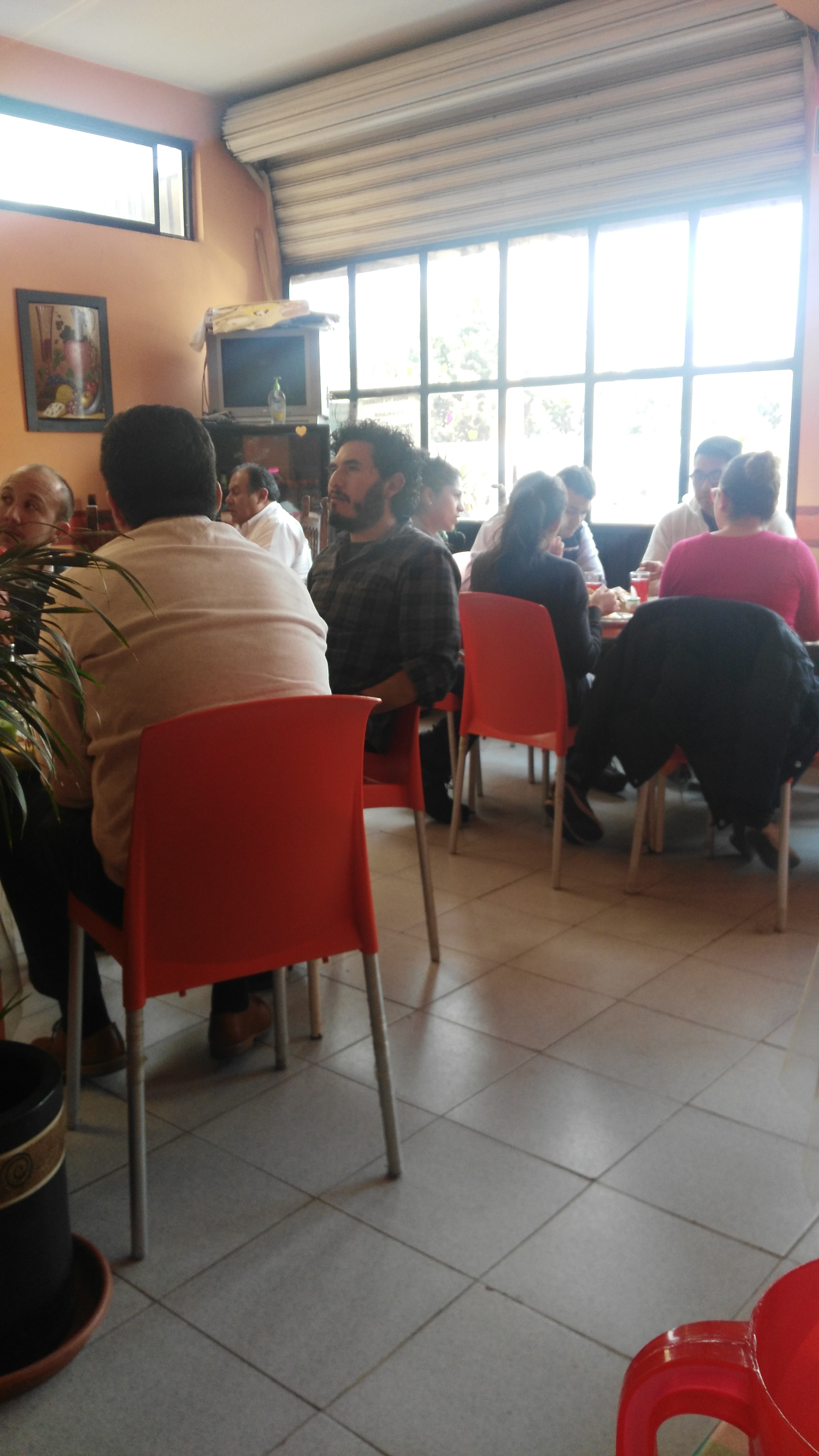 Los Girasoles image 10