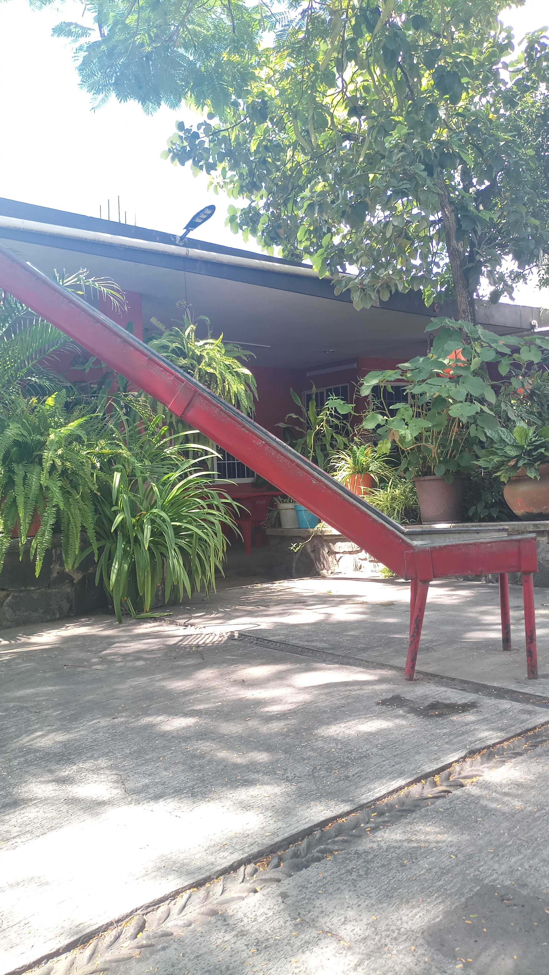 Restaurante Alfredos image 9