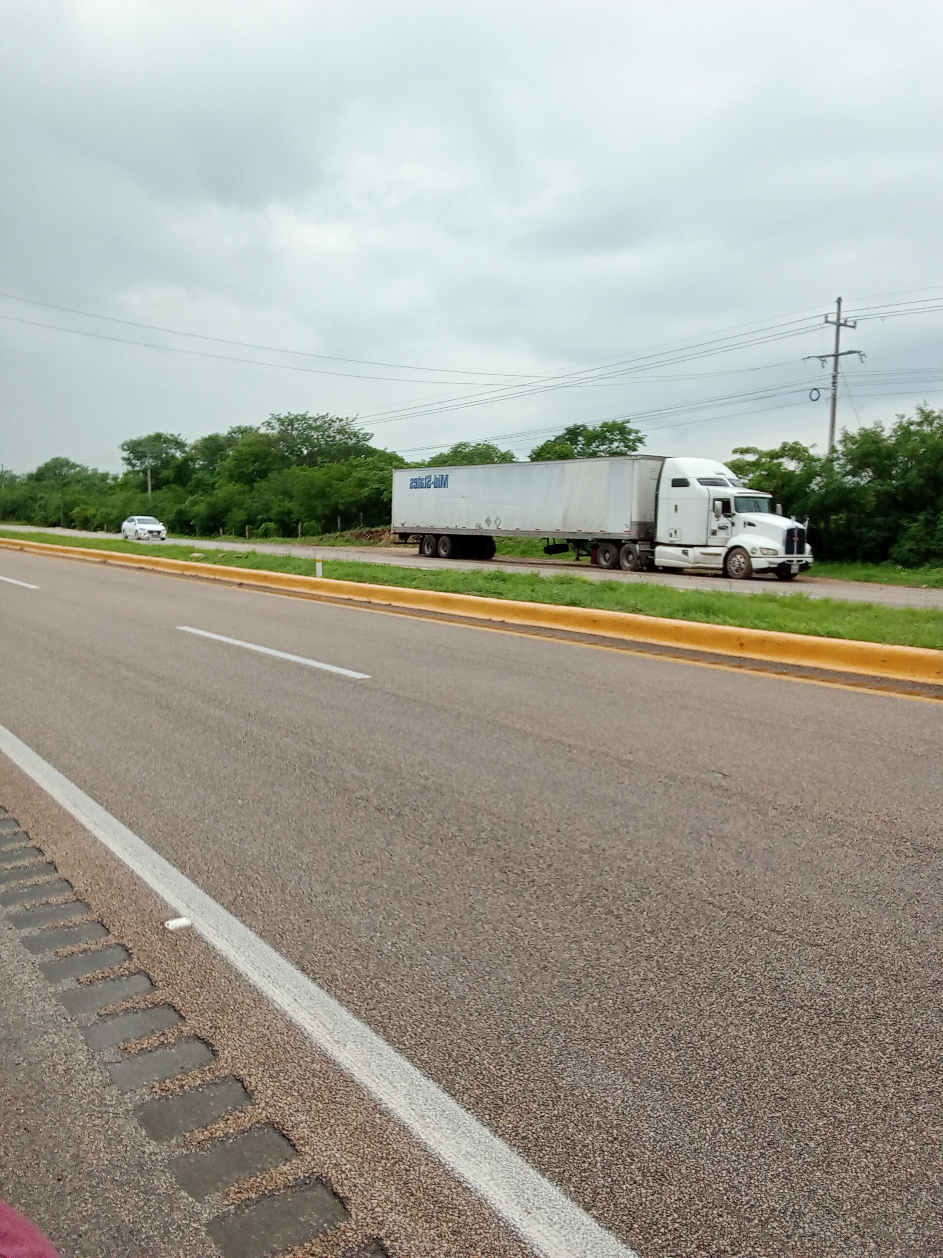 LAS BUGAMBILIAS image 4