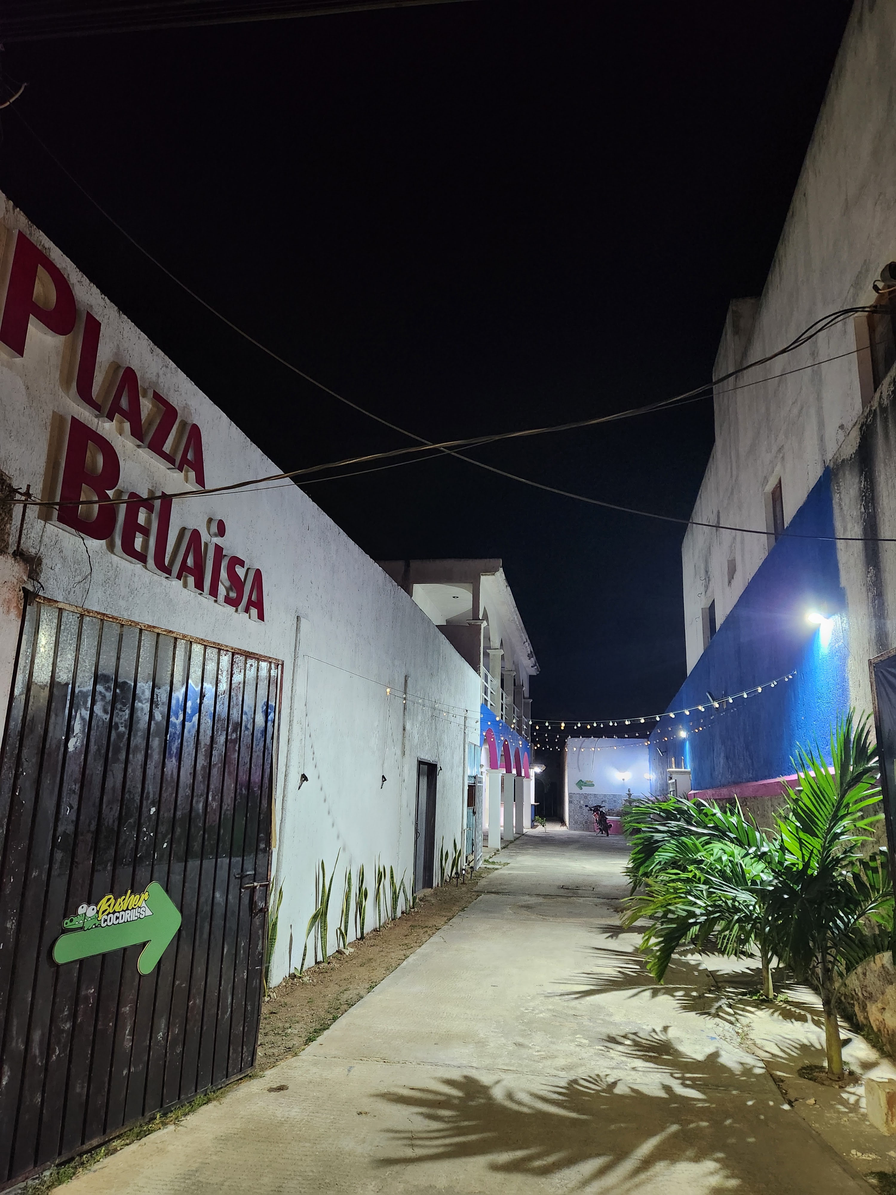 Busher Cocodril's Hopelchén image 4