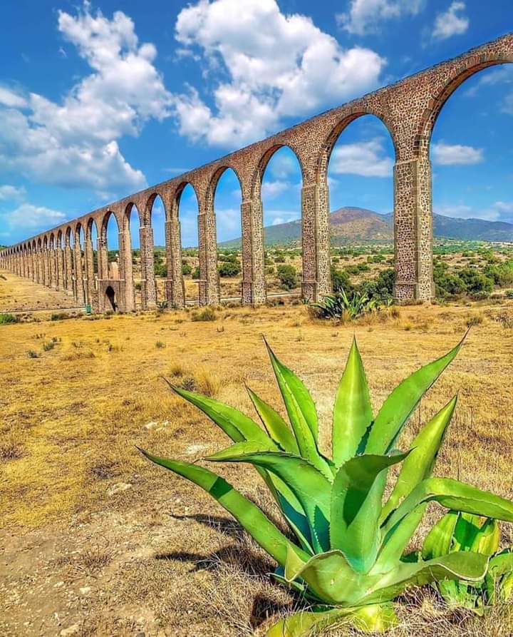 RESTAURANT LOS ARCOS image 5