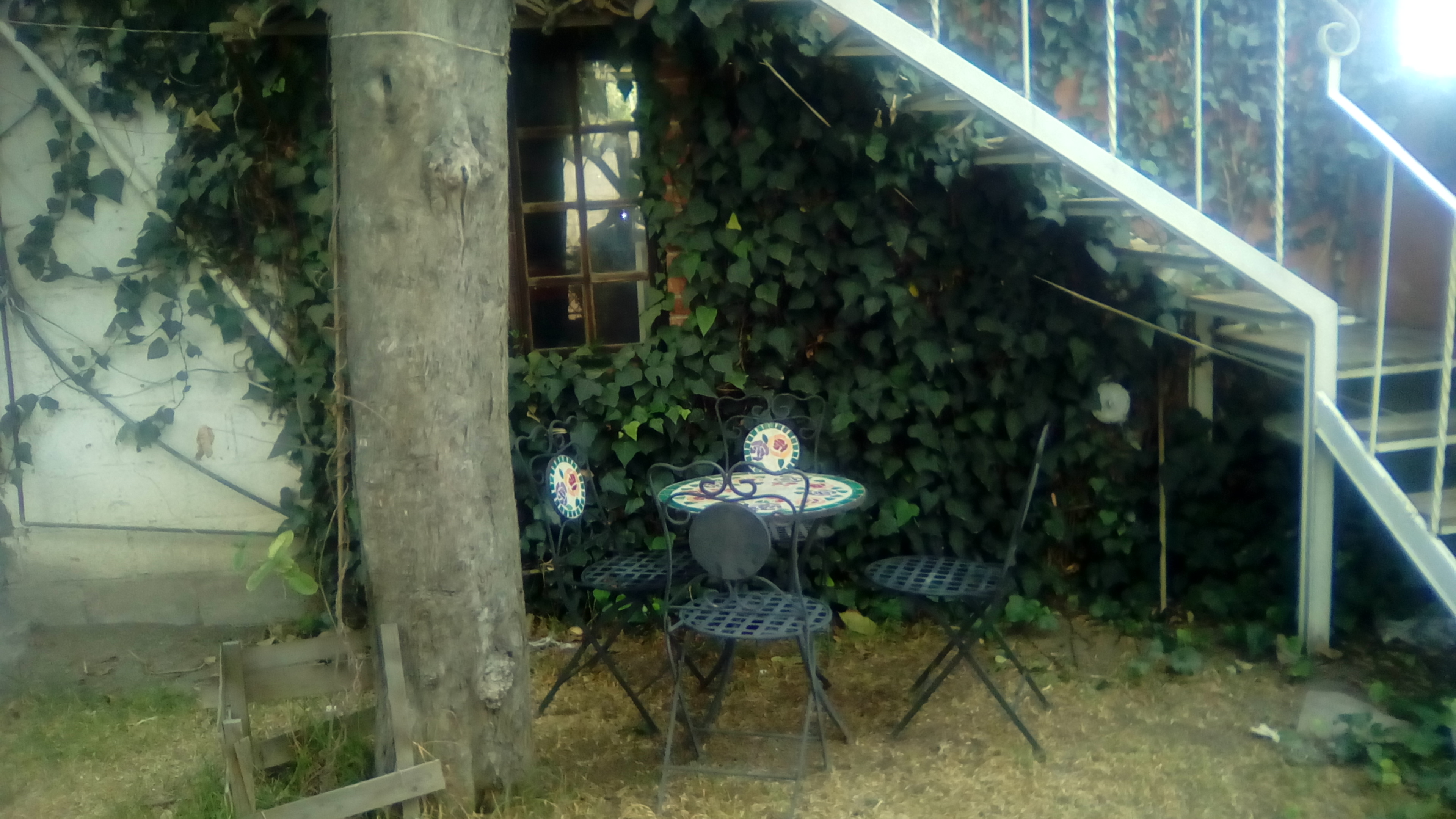 Taqueria "Los Monines" image 10