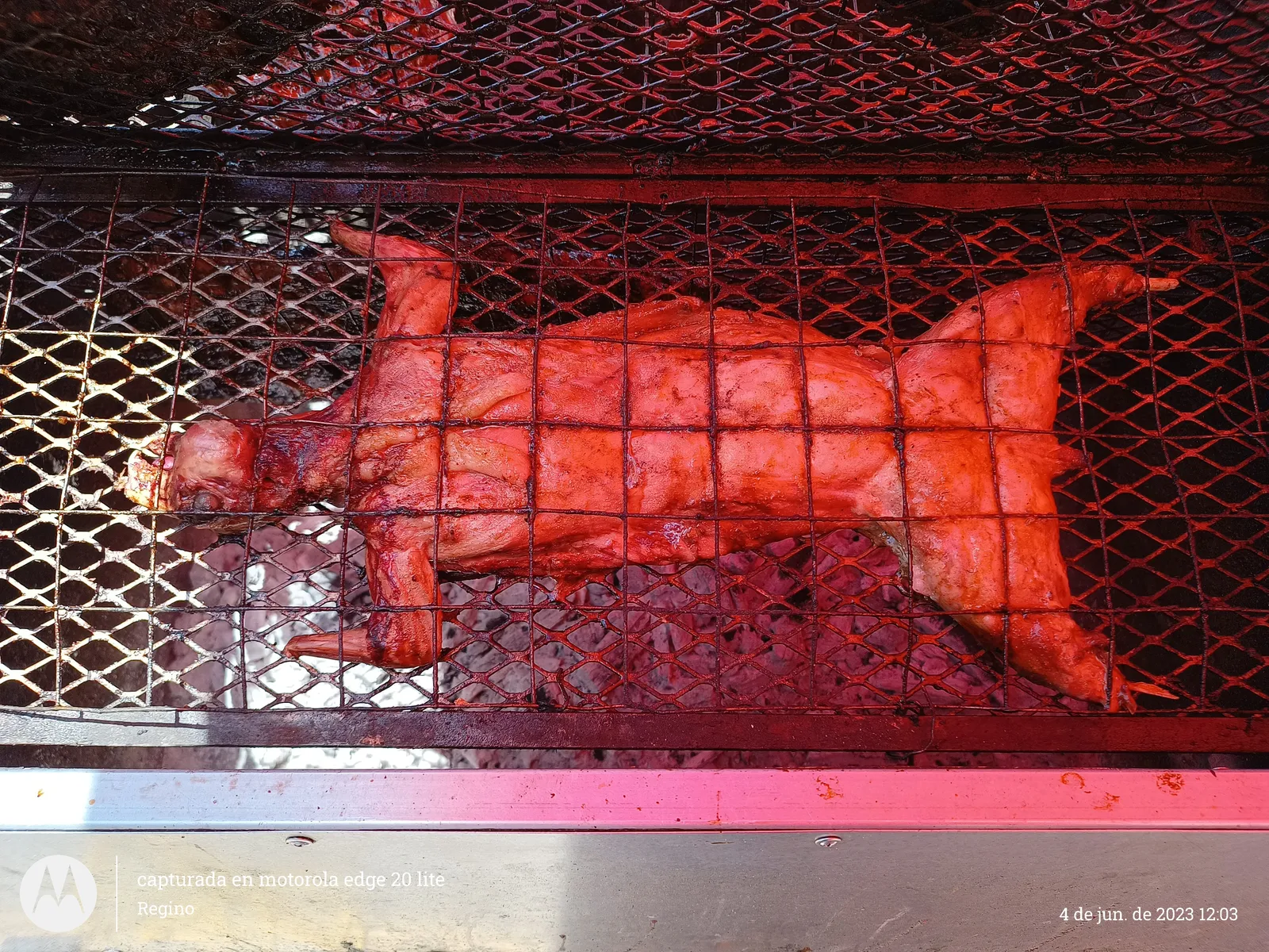 Jabalí Asado, restaurant "Doña Tere." image 8