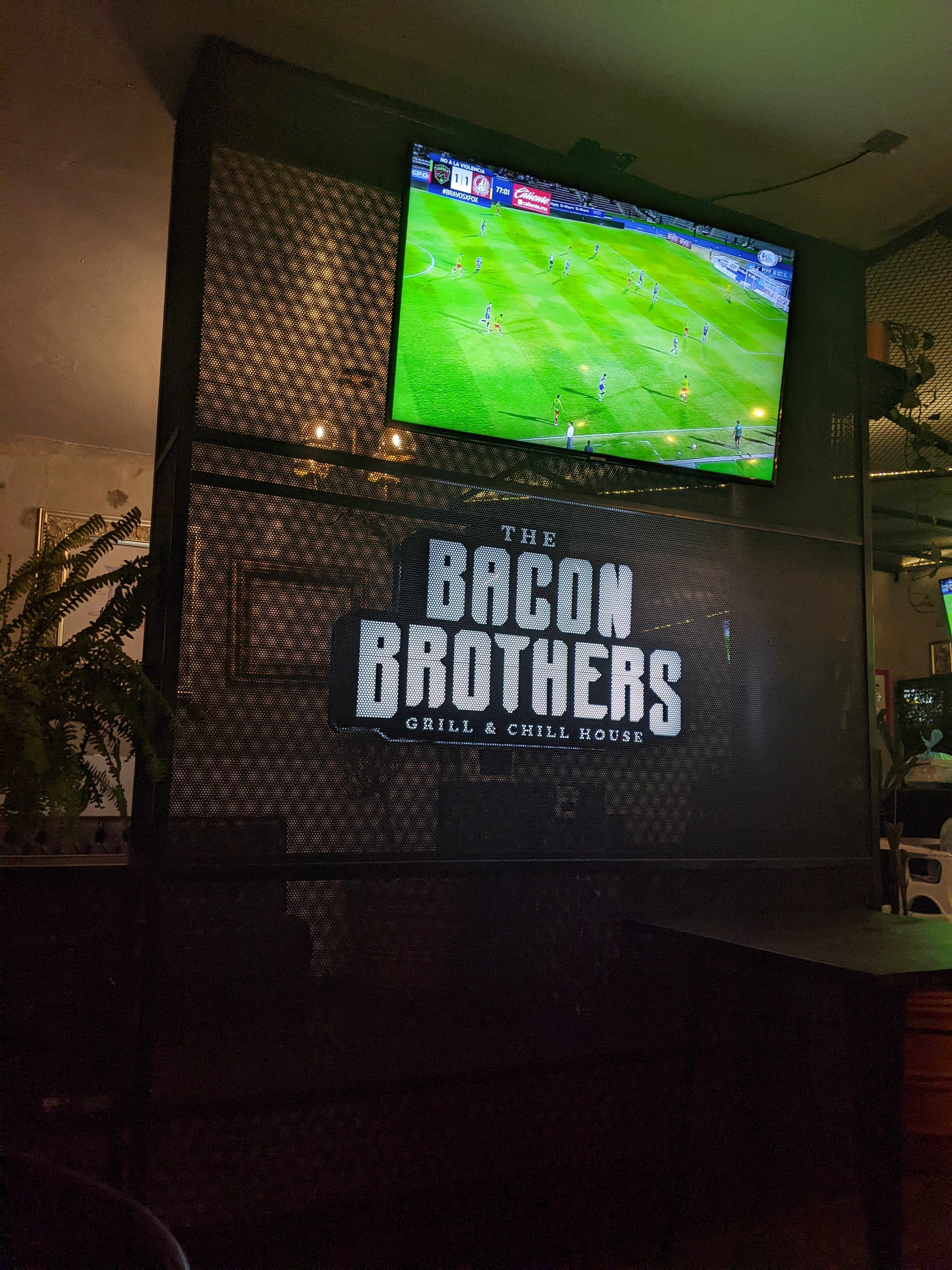 The Bacon Brothers image 5