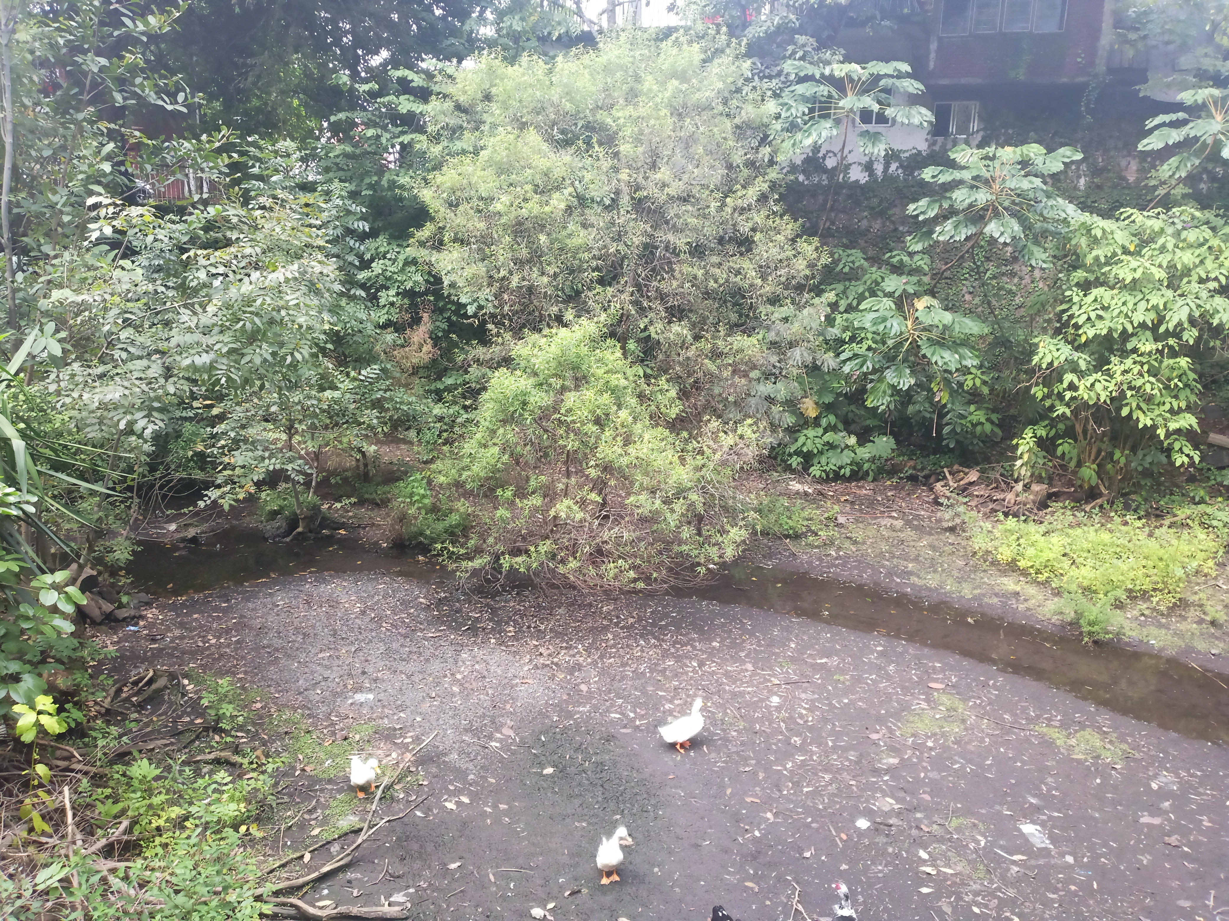 La Troje Del Lago image 3