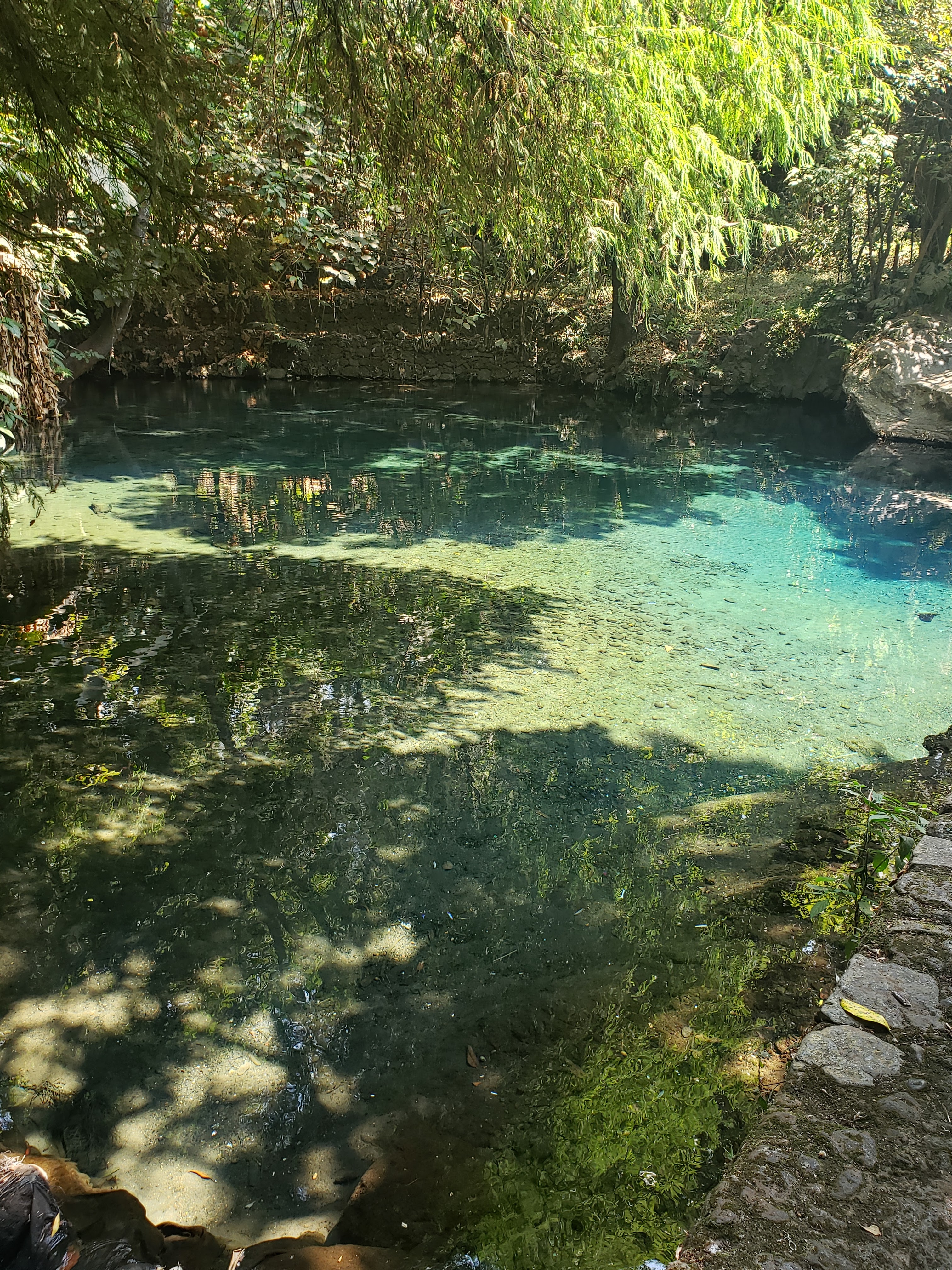 La Troje Del Lago image 5