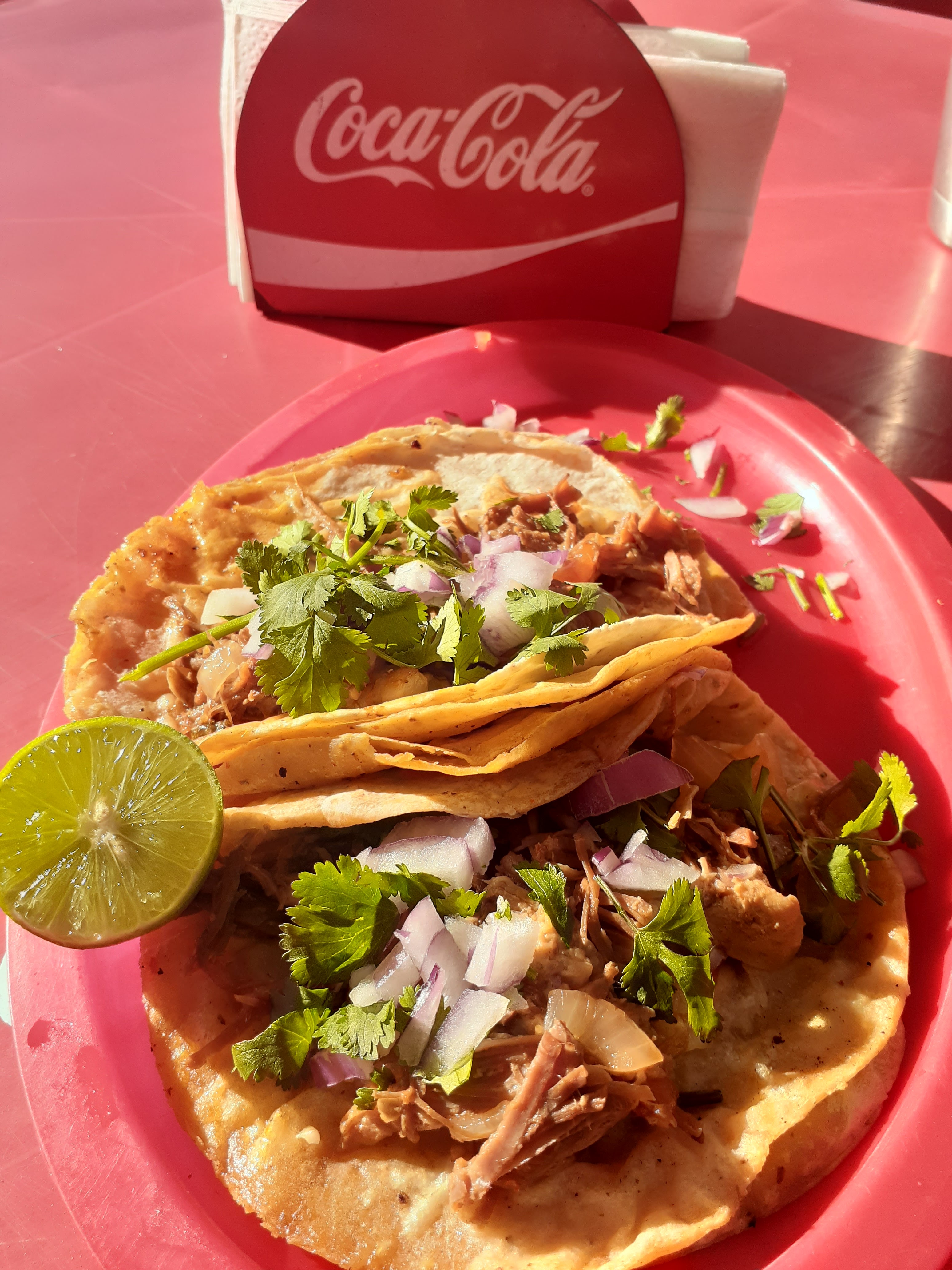 Mar Del Golfo image 2