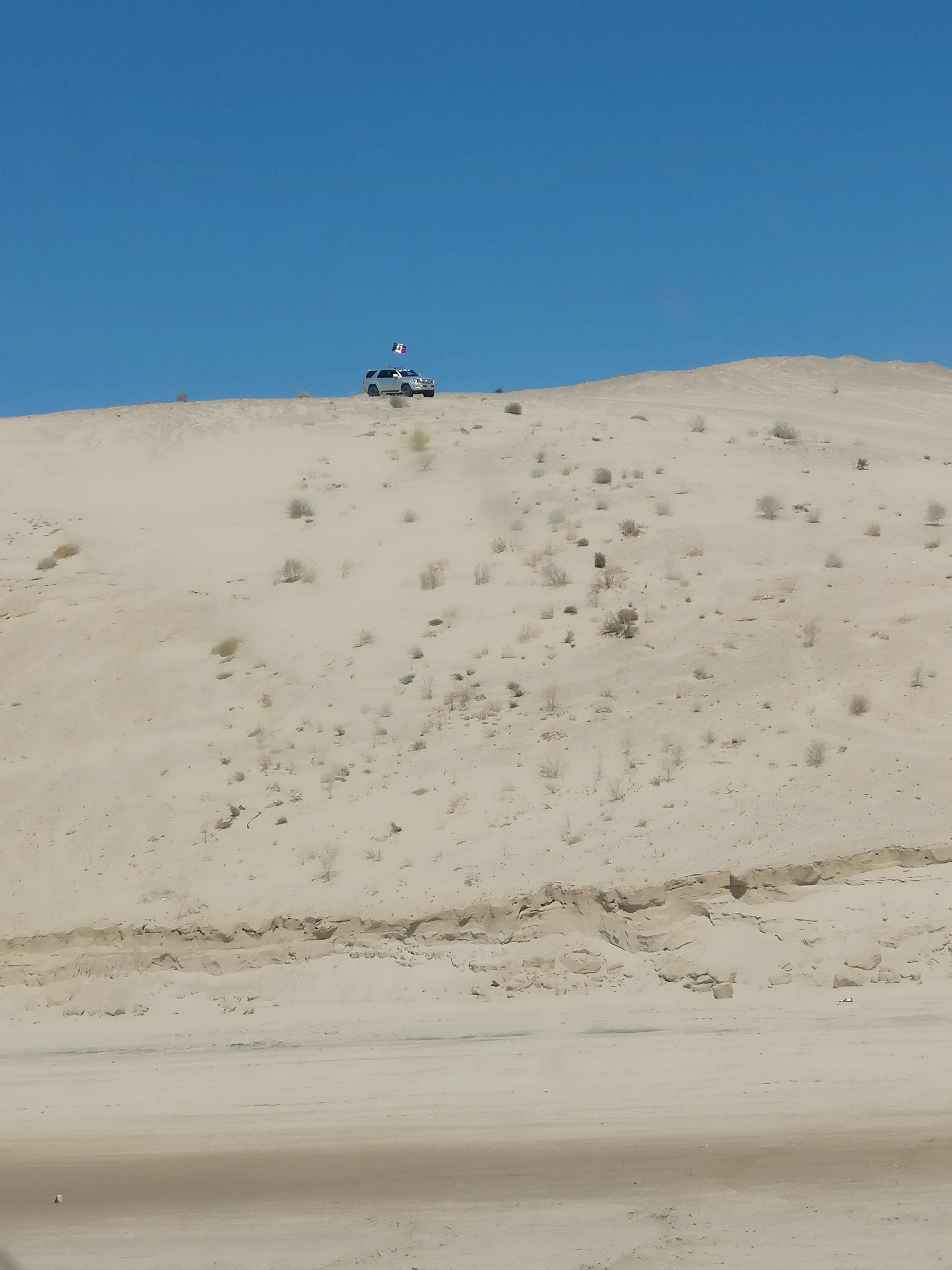 Mar Del Golfo image 8