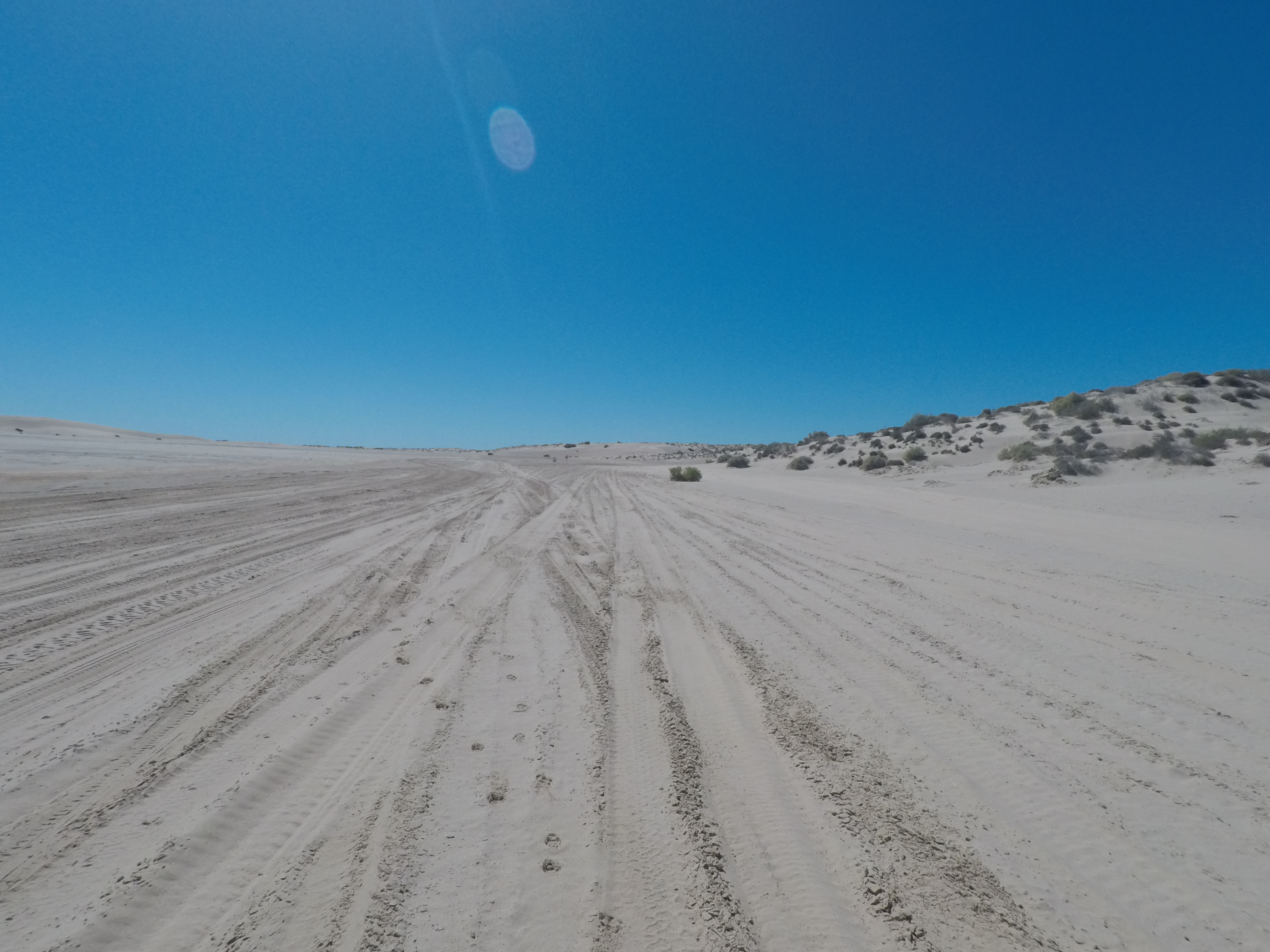 Mar Del Golfo image 10