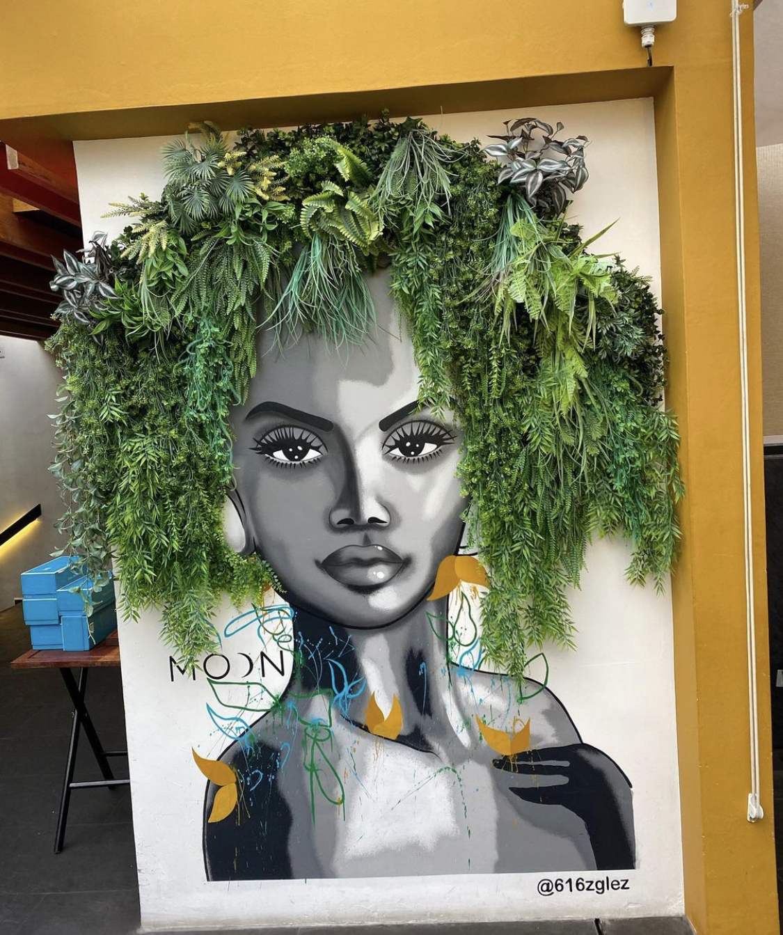 Black Onyx Group image 3