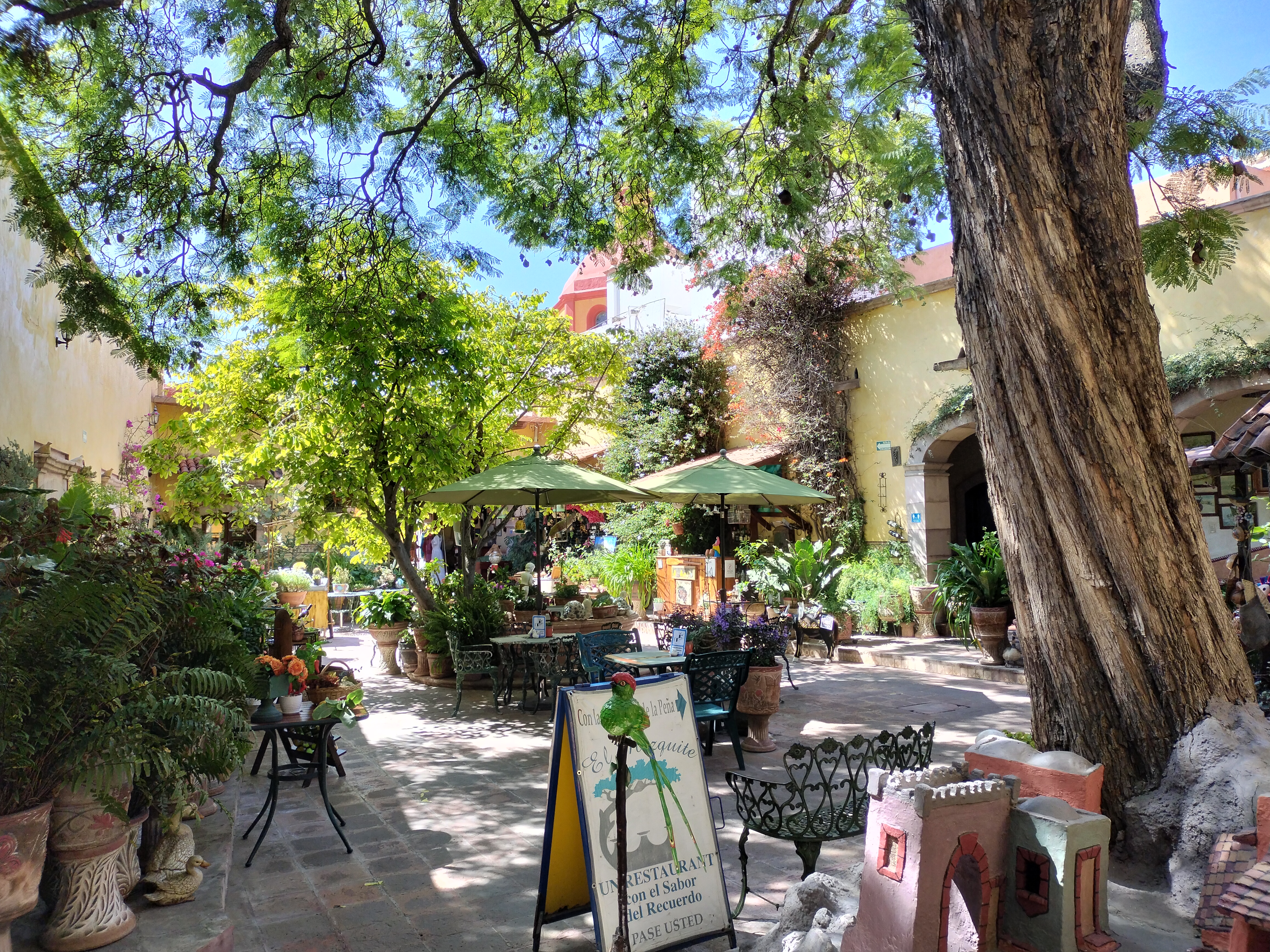 Restaurante El Solar image 7