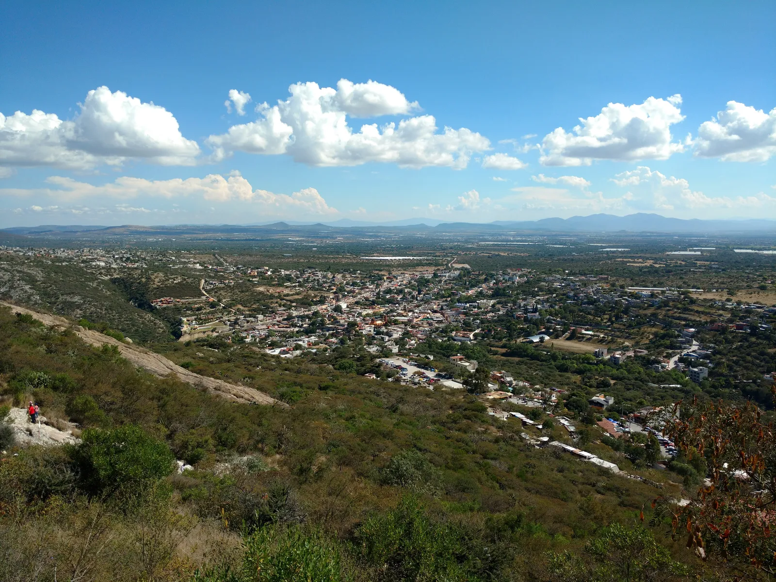 Grucado image 6