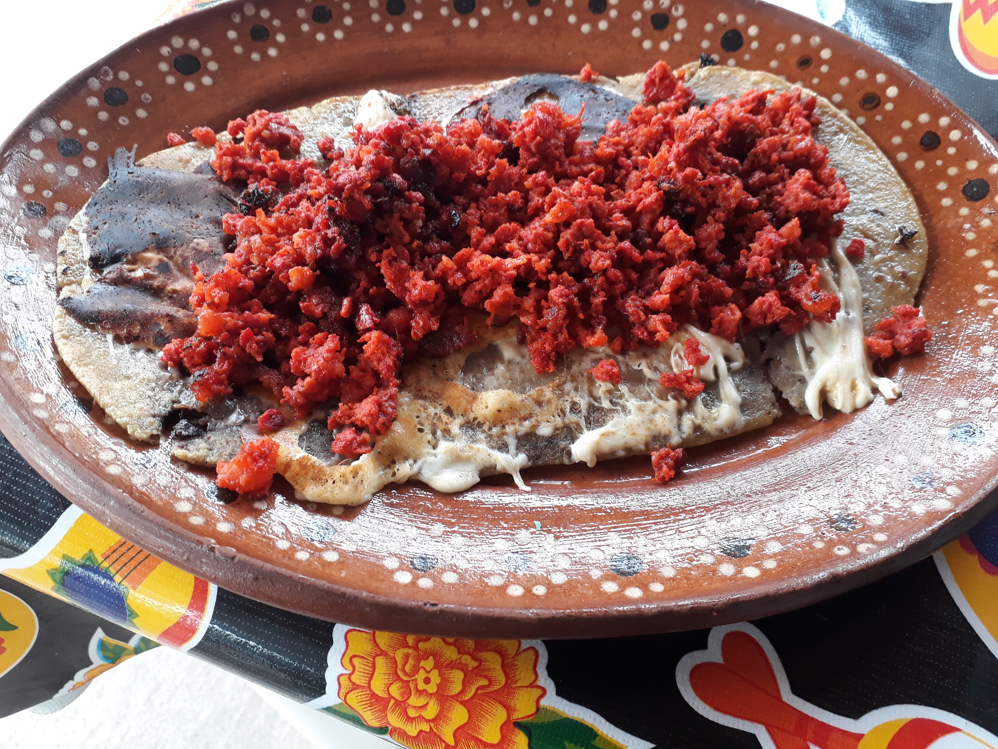 Perro Negro Y Callejero image 2