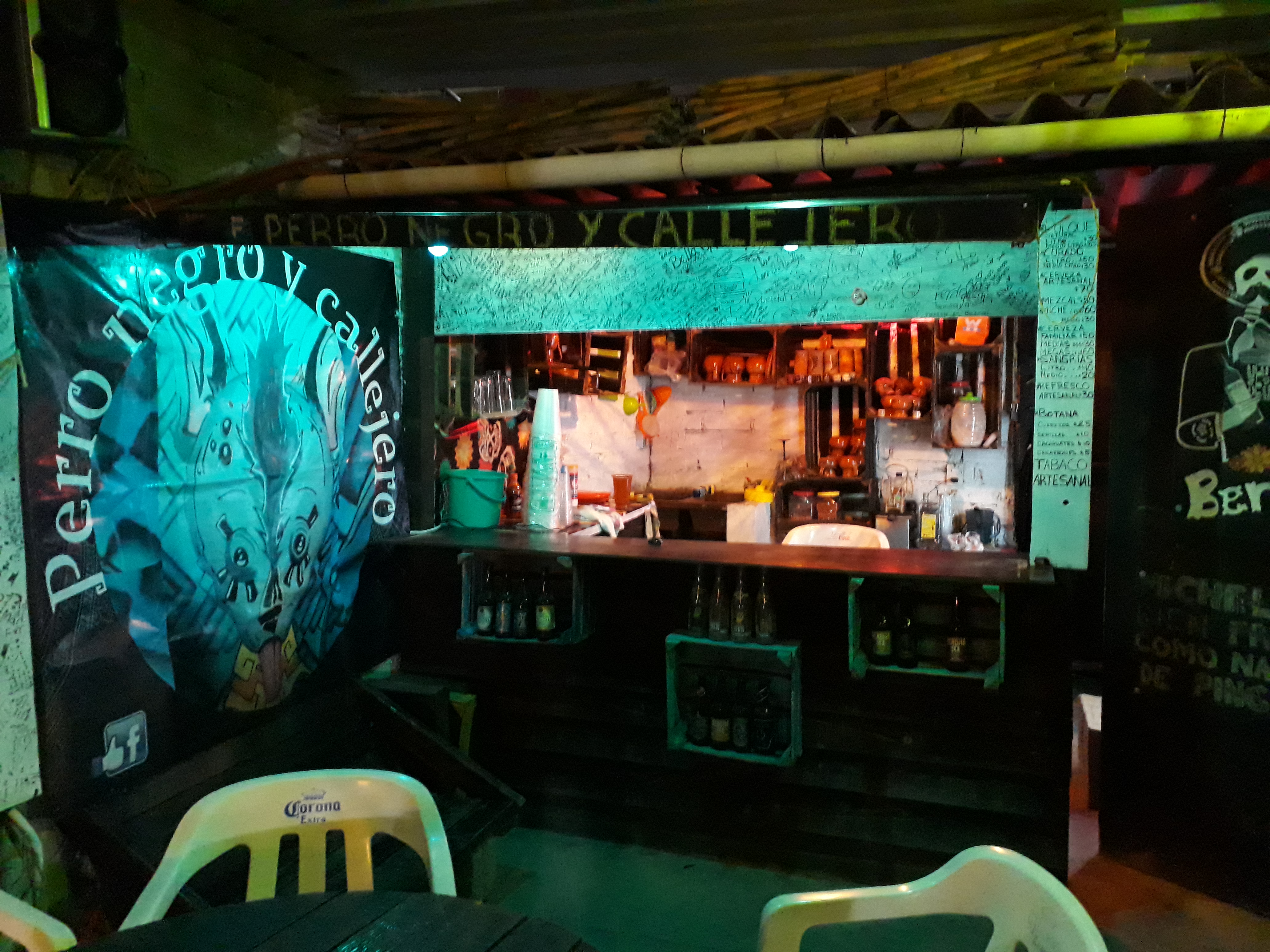 Perro Negro Y Callejero image 5