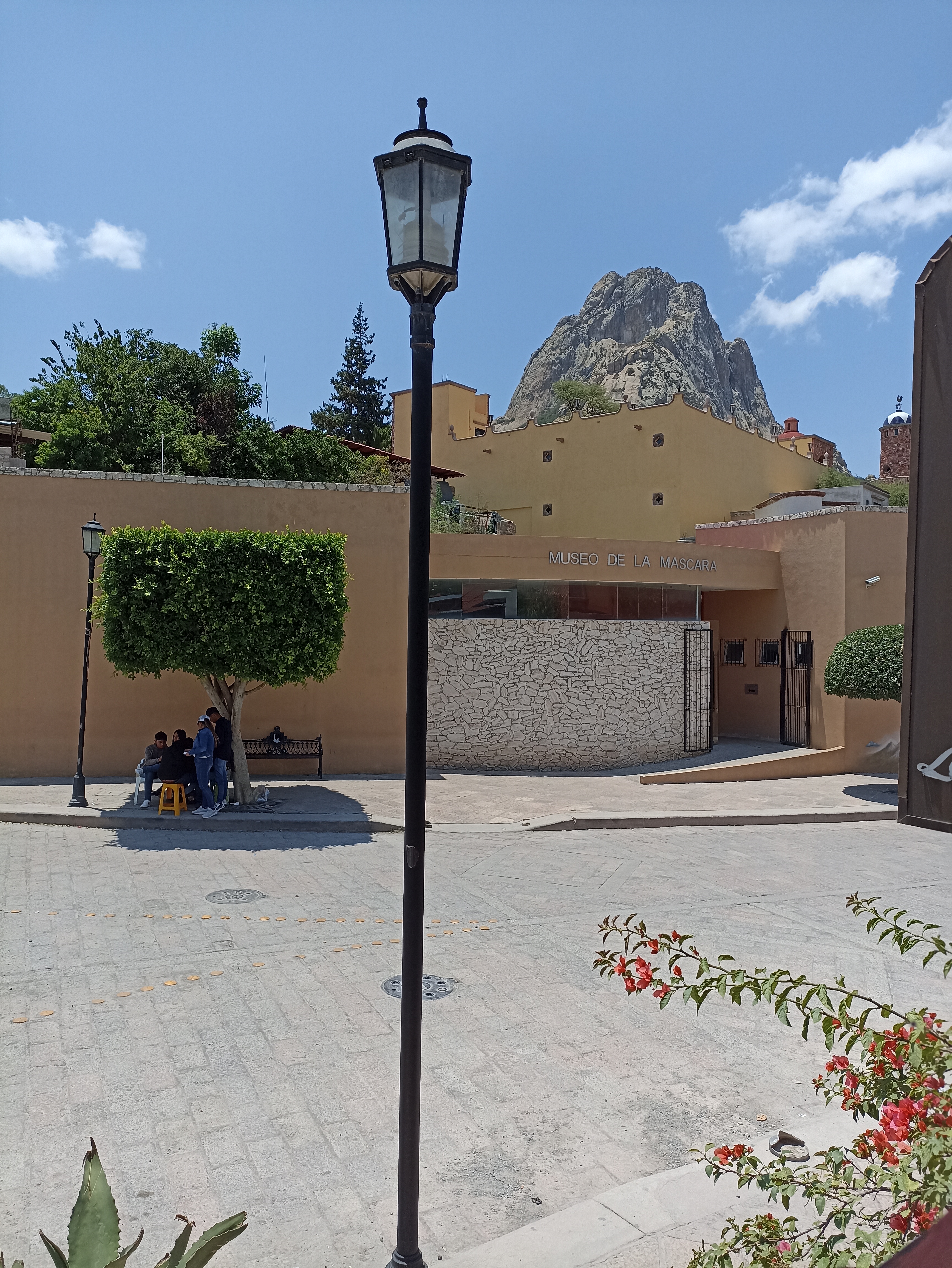 Perro Negro Y Callejero image 7