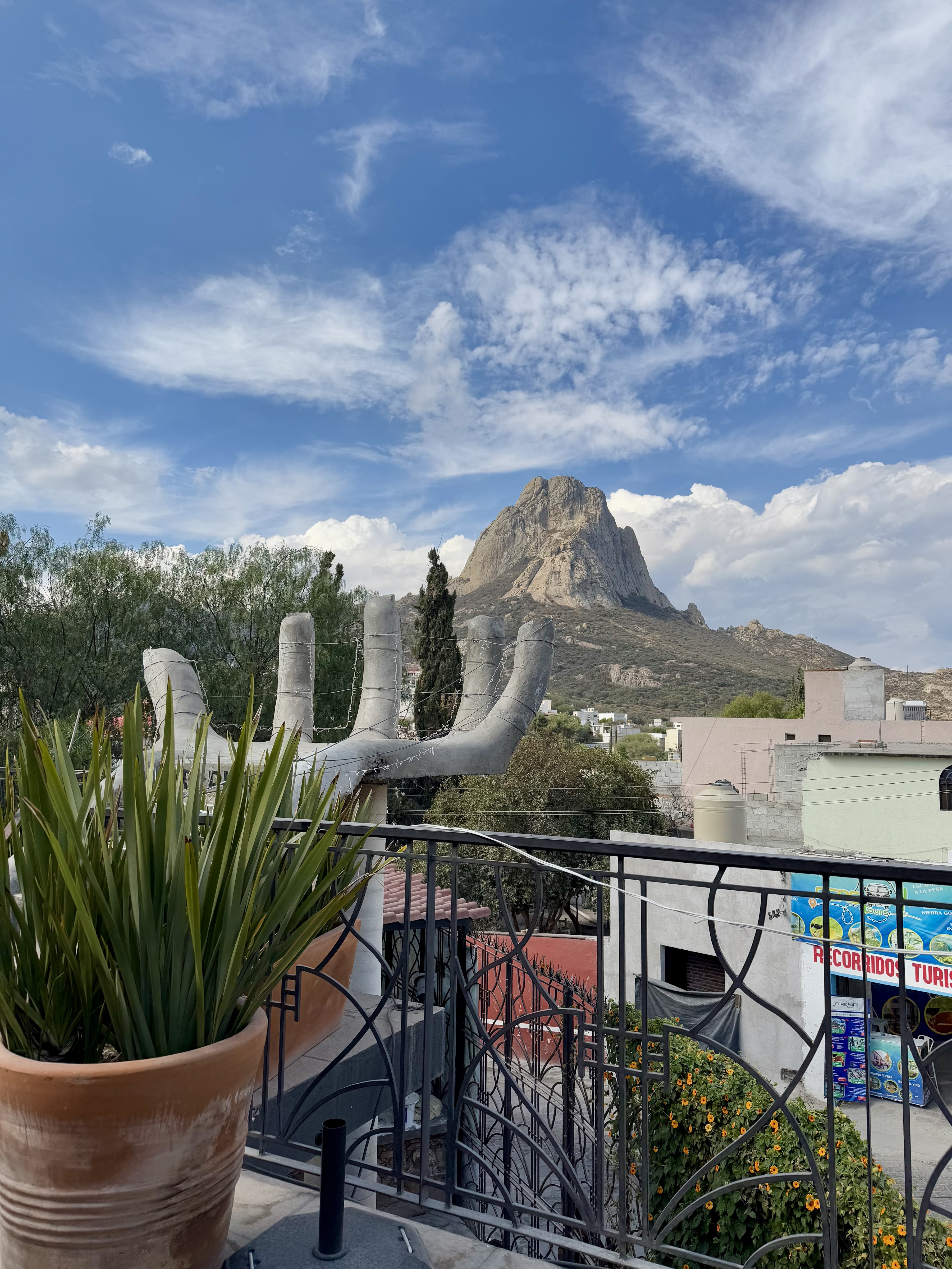 Bendita Vendimia image 9