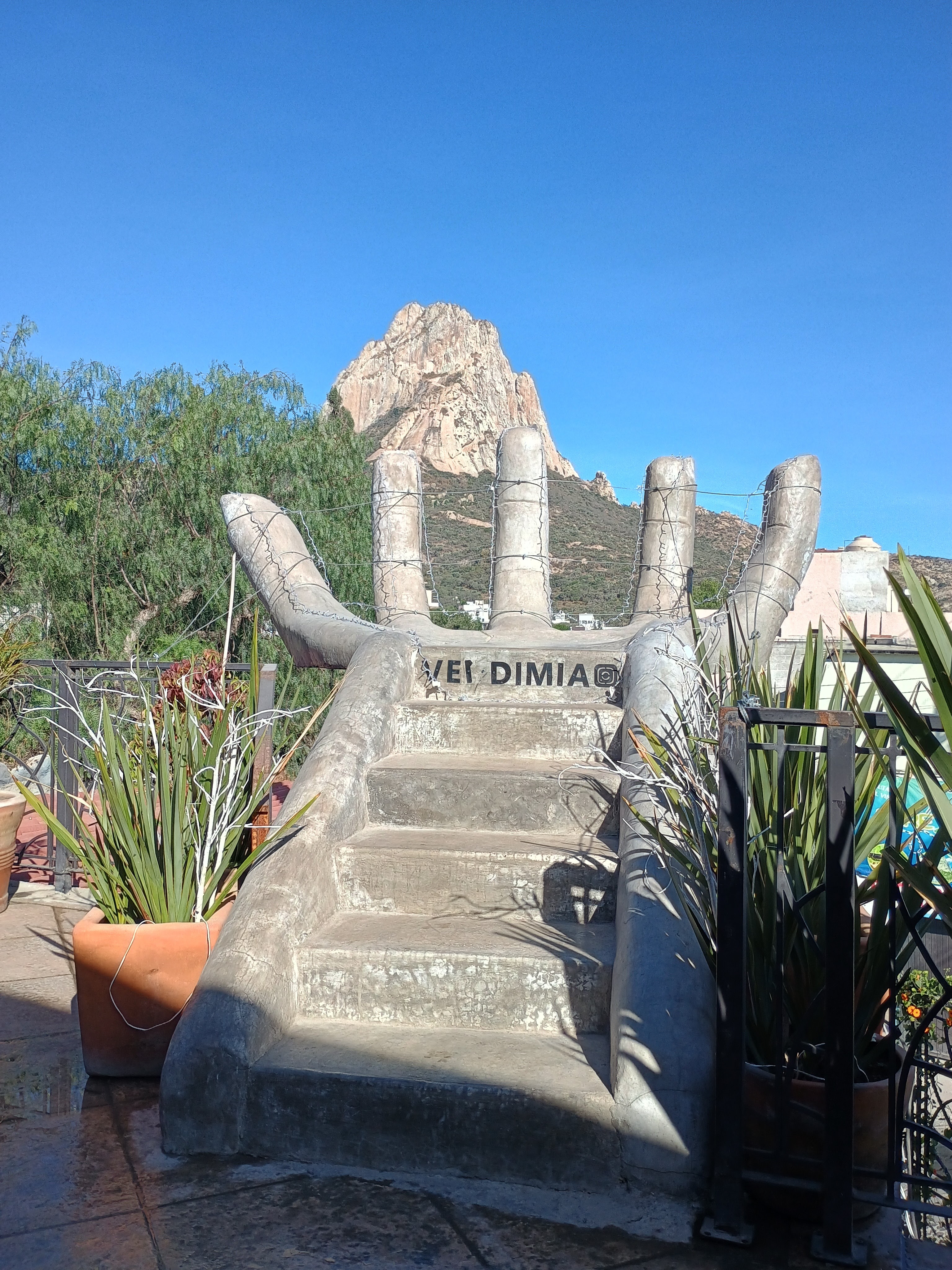 Bendita Vendimia image 10