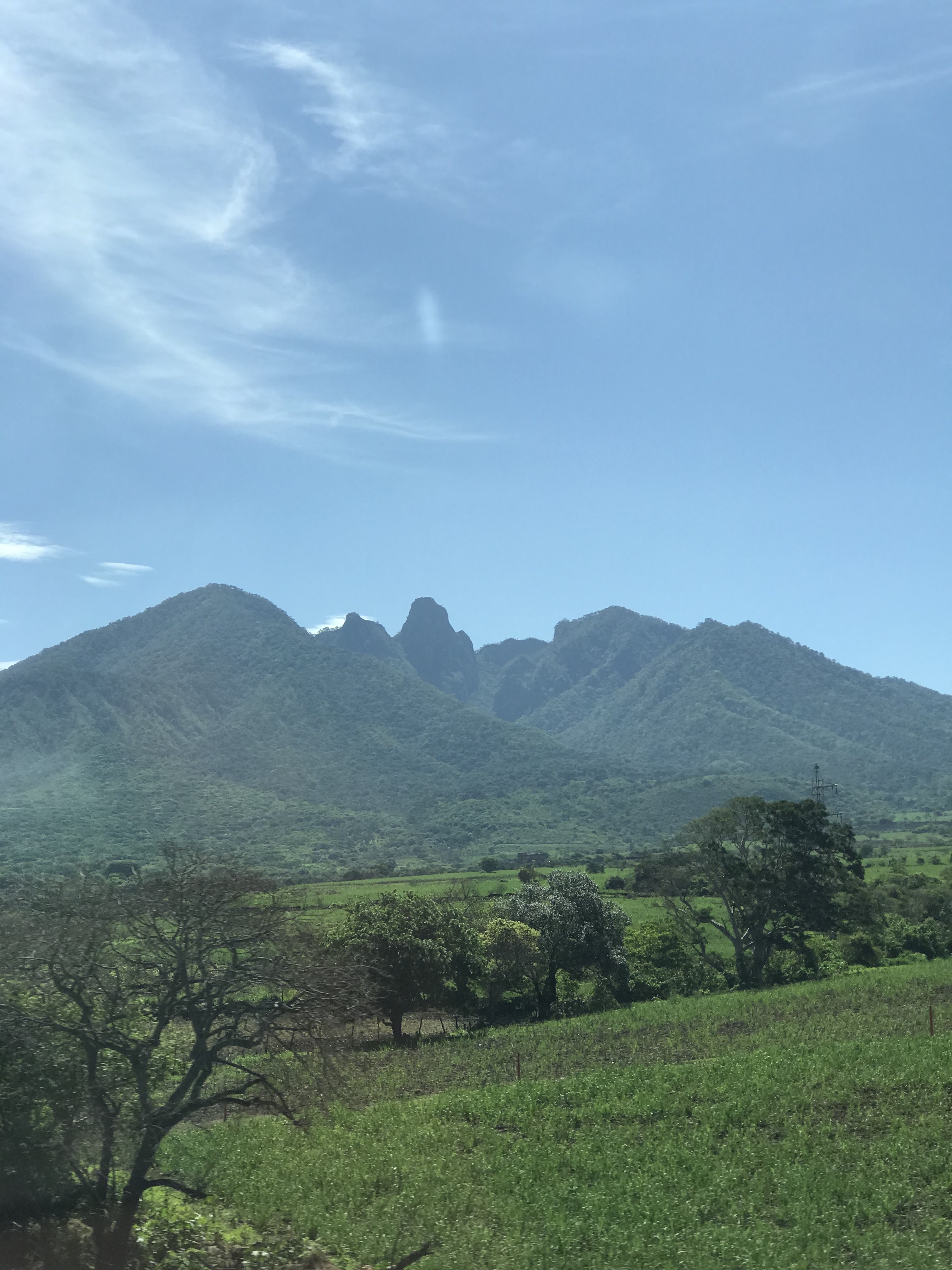 Restaurant Los Girasoles image 8