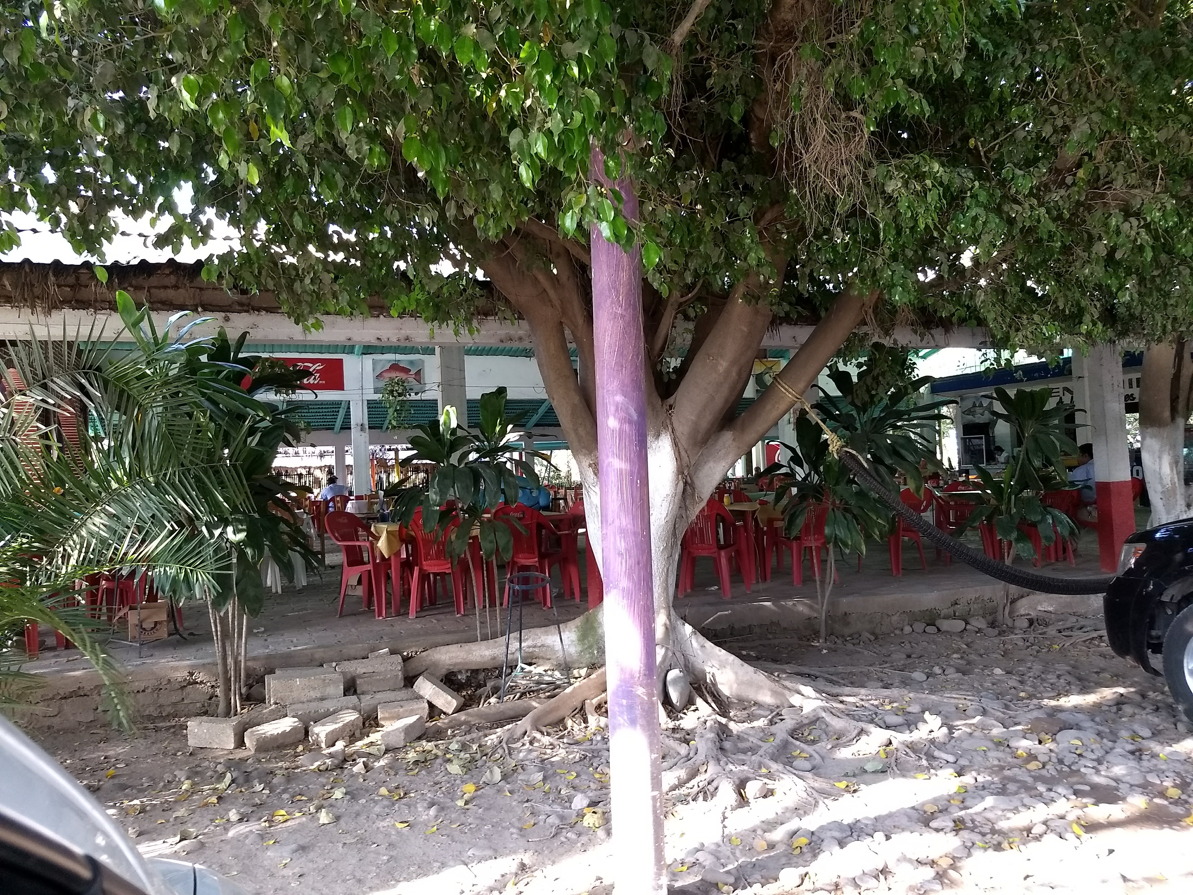 Restaurant Los Tabachines image 6