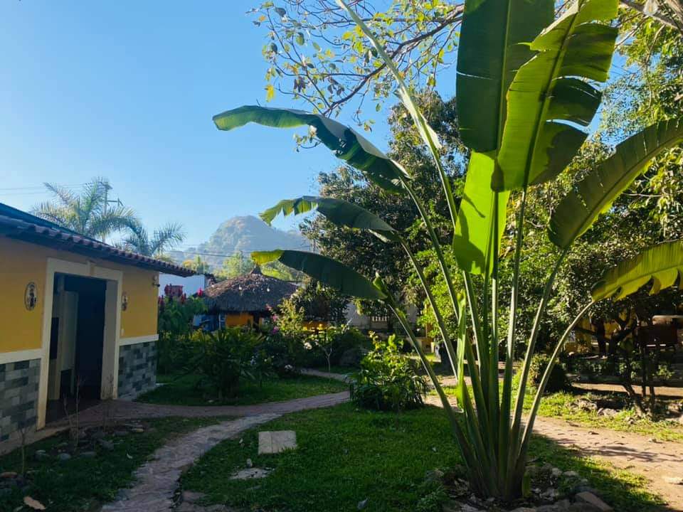 Restaurant y Mariscos "Mar y Tierra" image 4