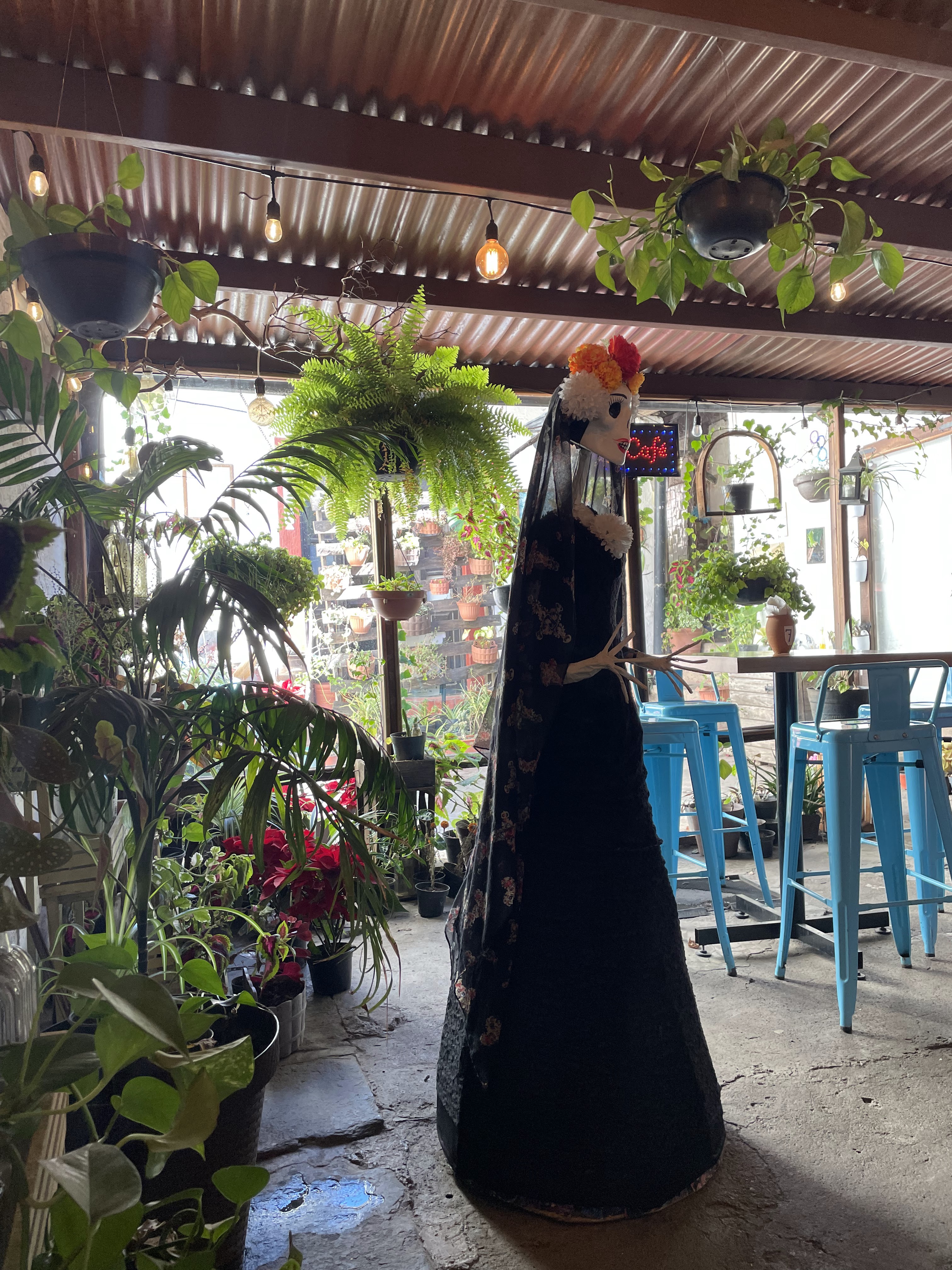 El monchis restaurante de Tapalpa ink image 8