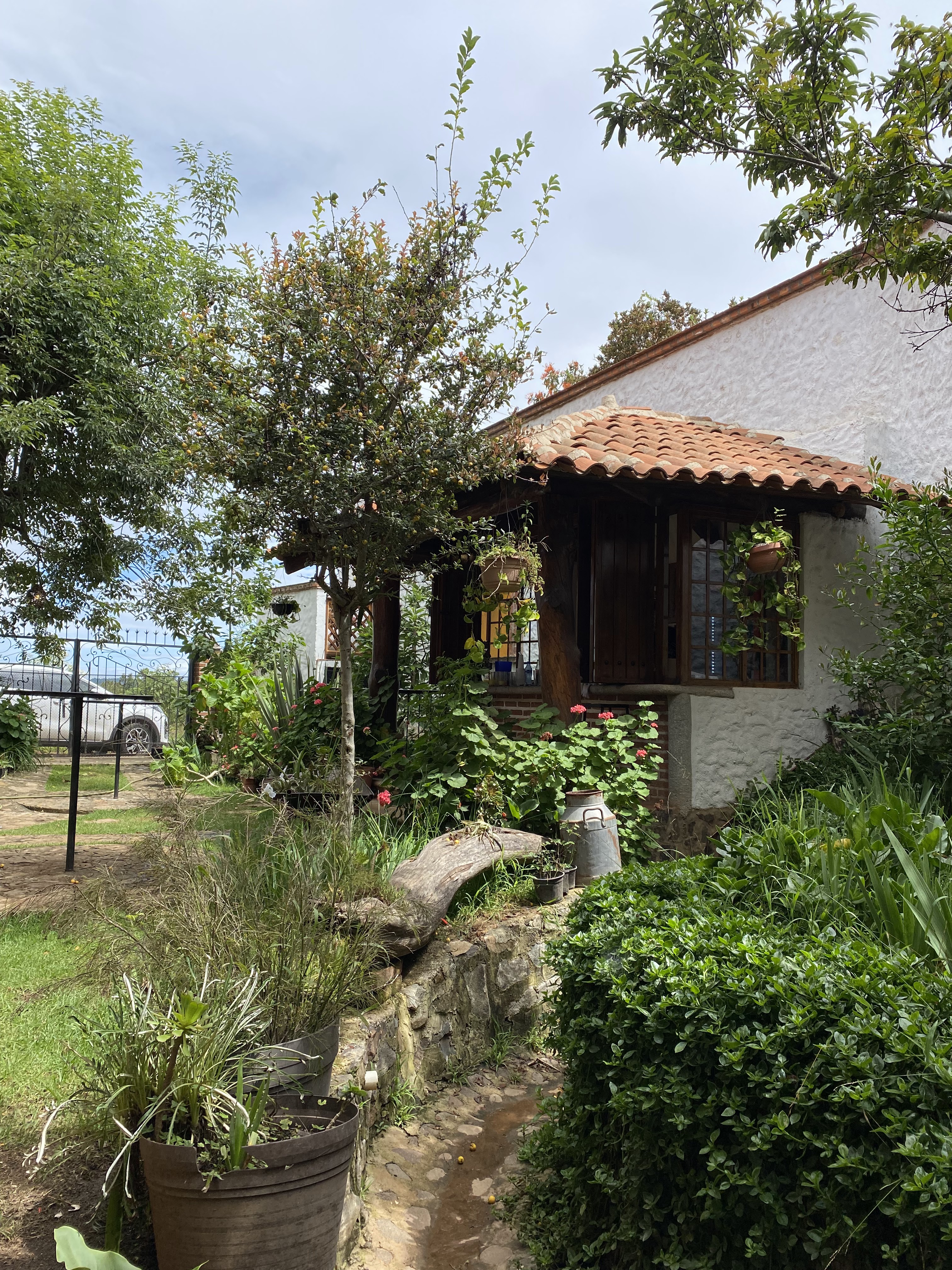 Restaurante La Estancia image 9
