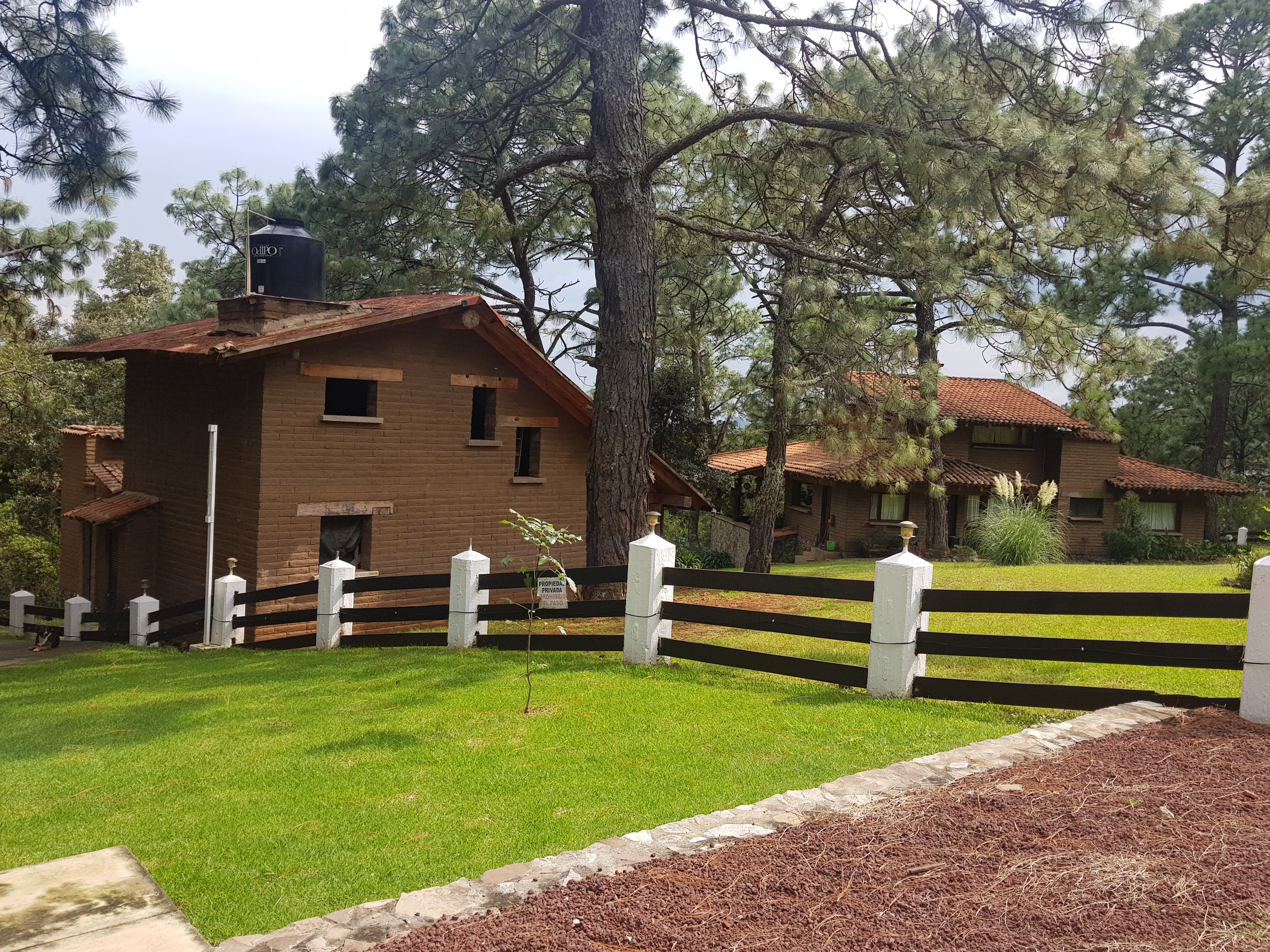 Tapalpa Grill image 4