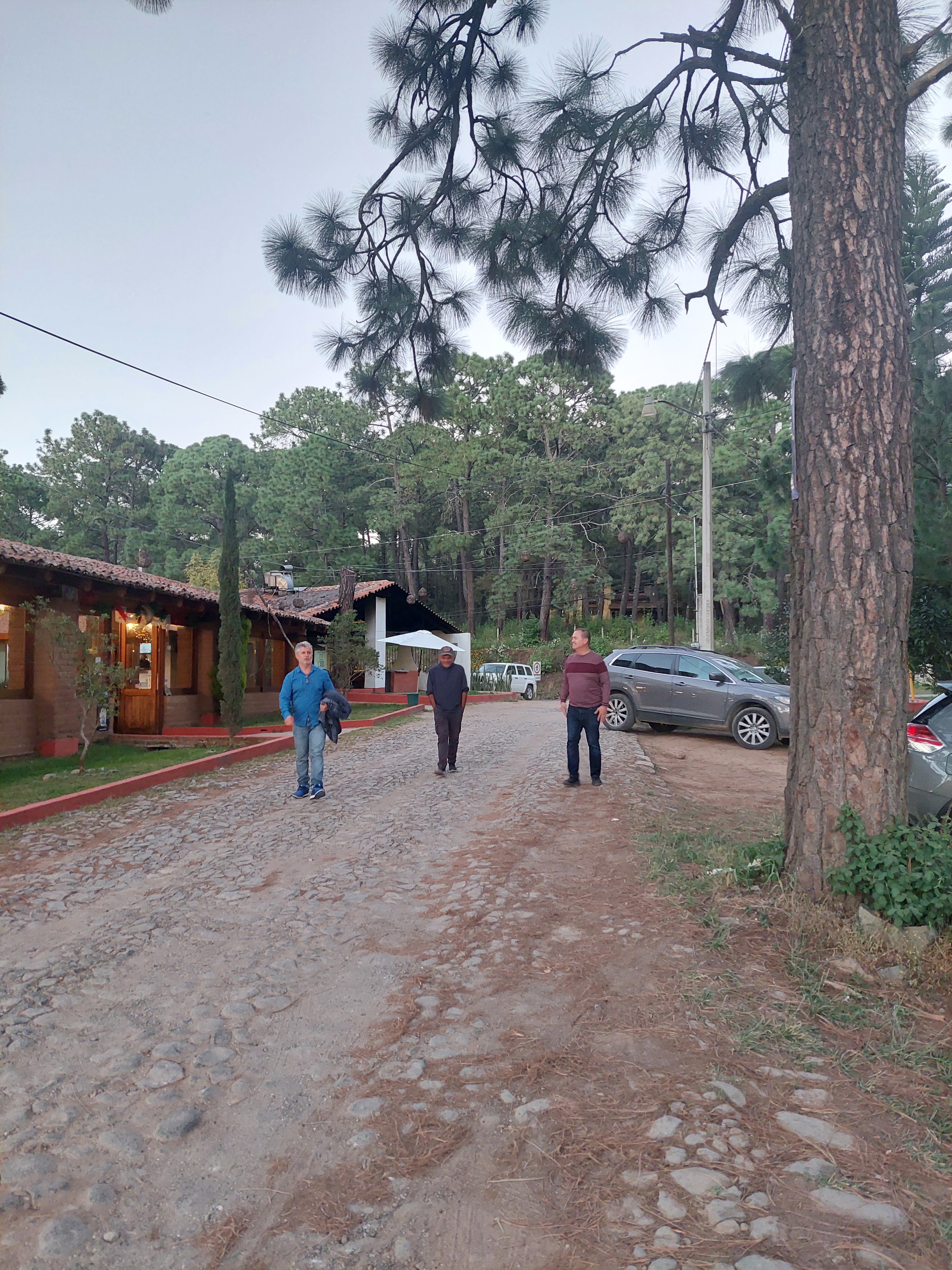 Tapalpa Grill image 5