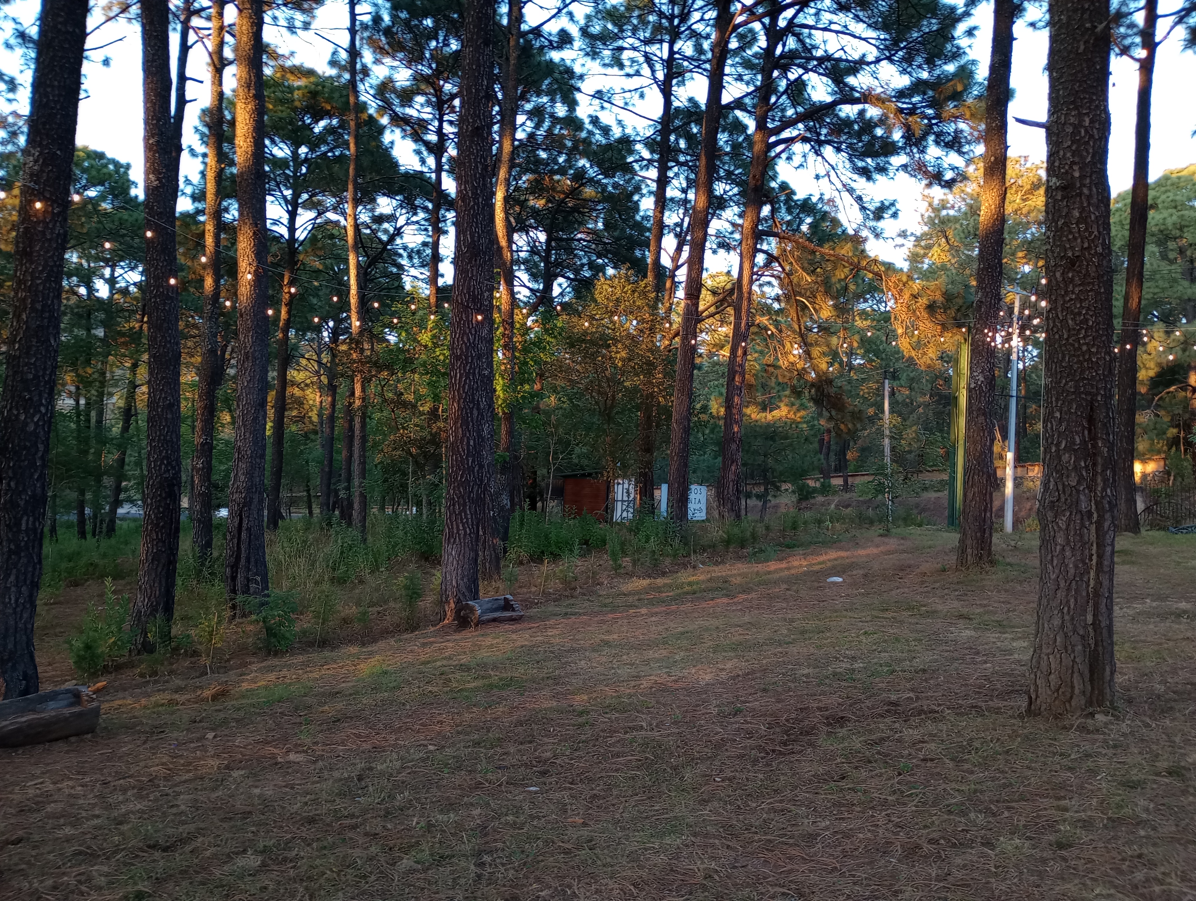 Tapalpa Grill image 6