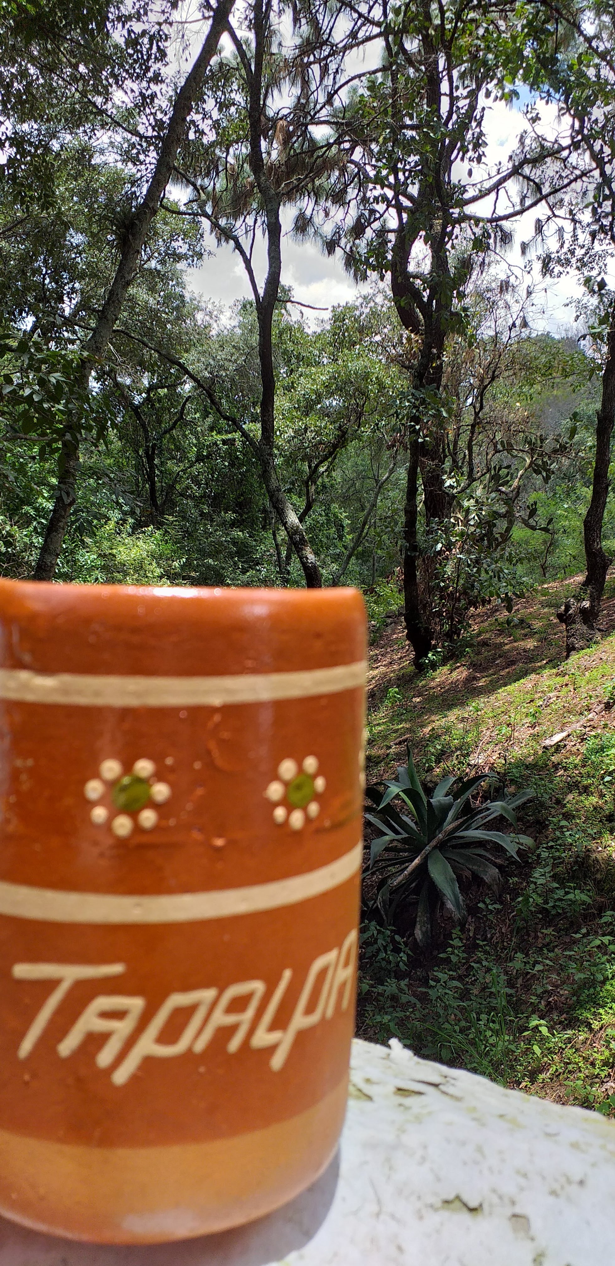 Tapalpa Grill image 8