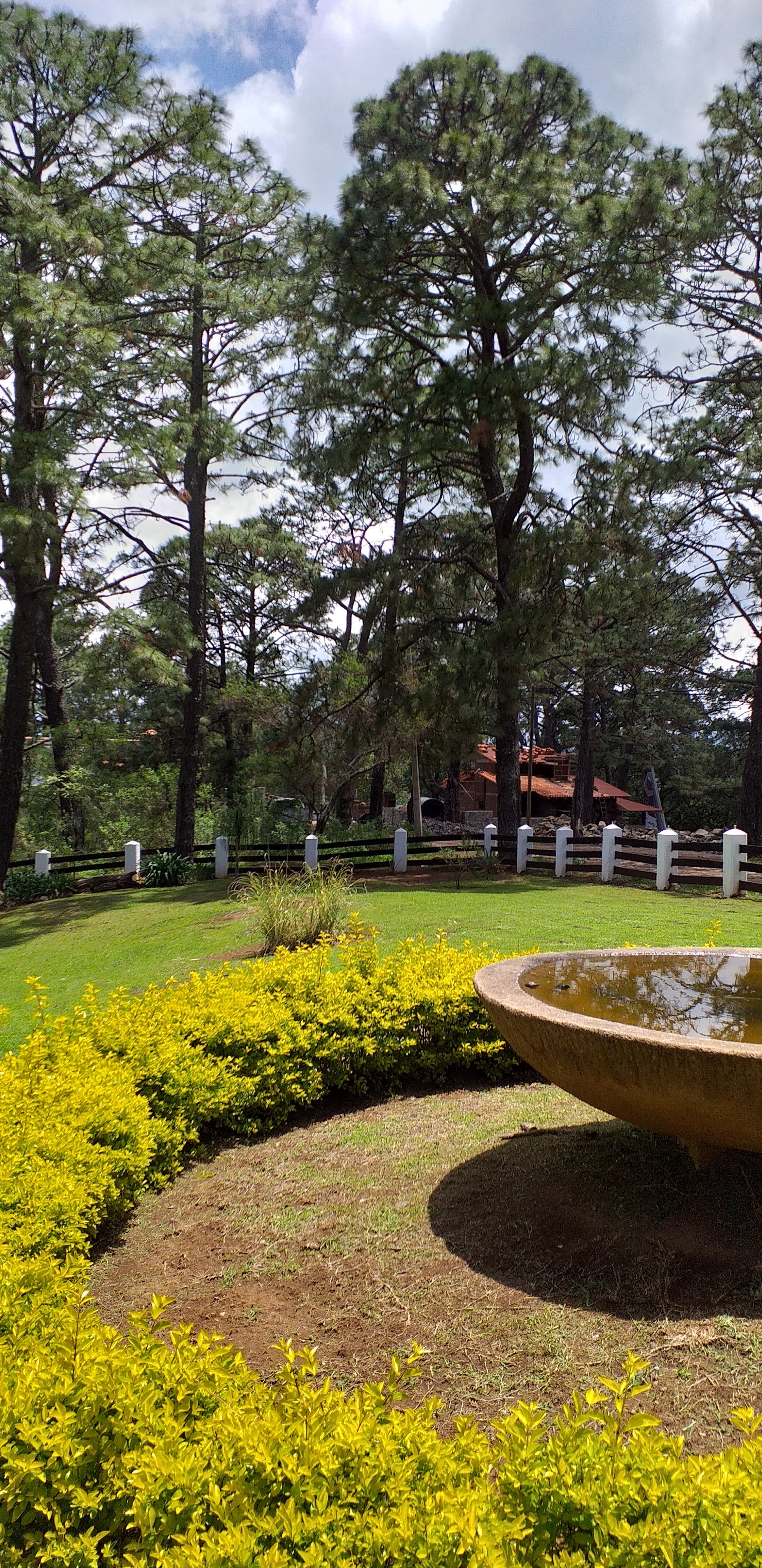 Tapalpa Grill image 10