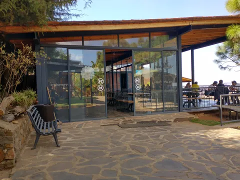 Echeveria Grill image 7