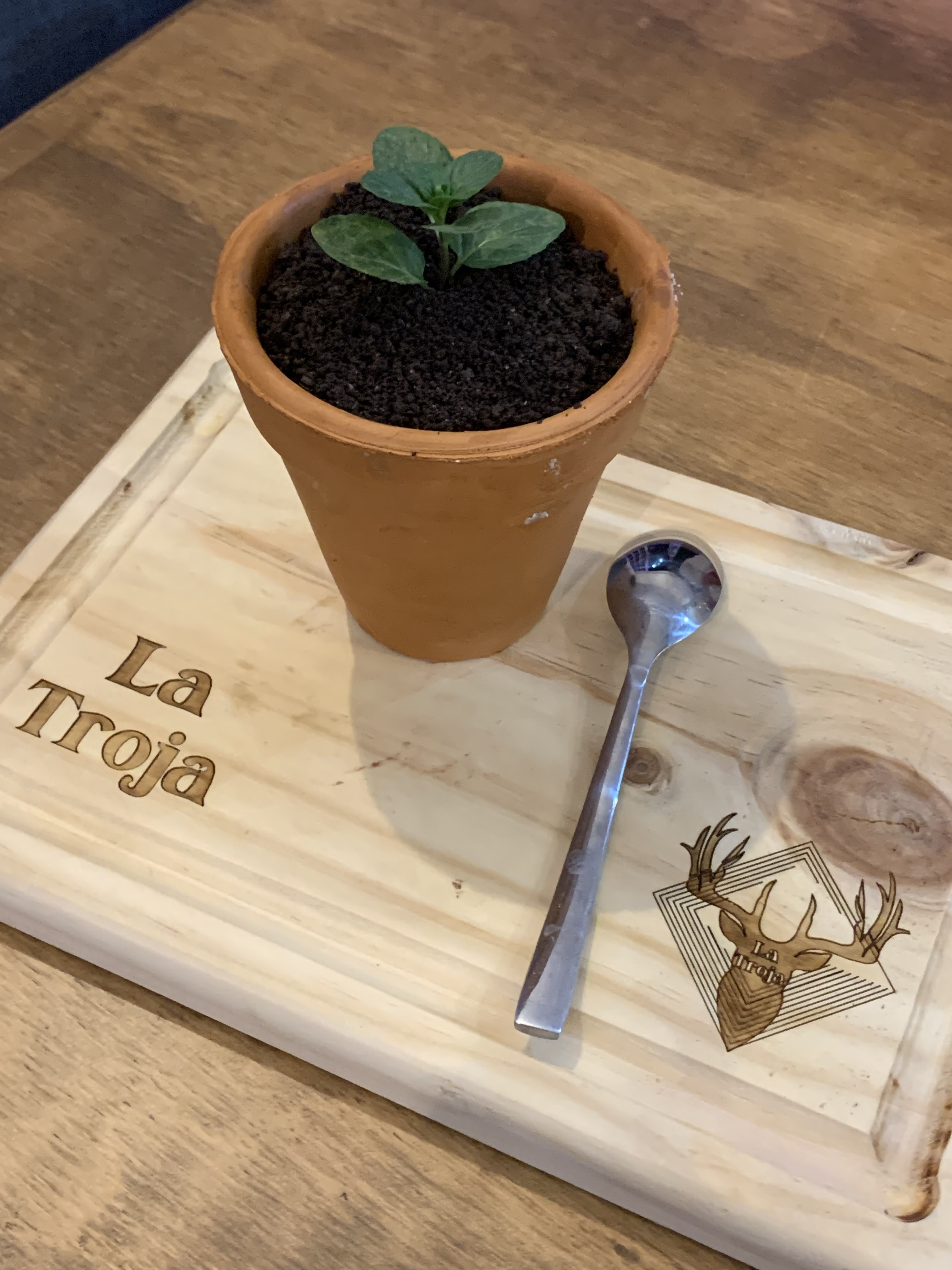 La Troja restaurant-bar image 5